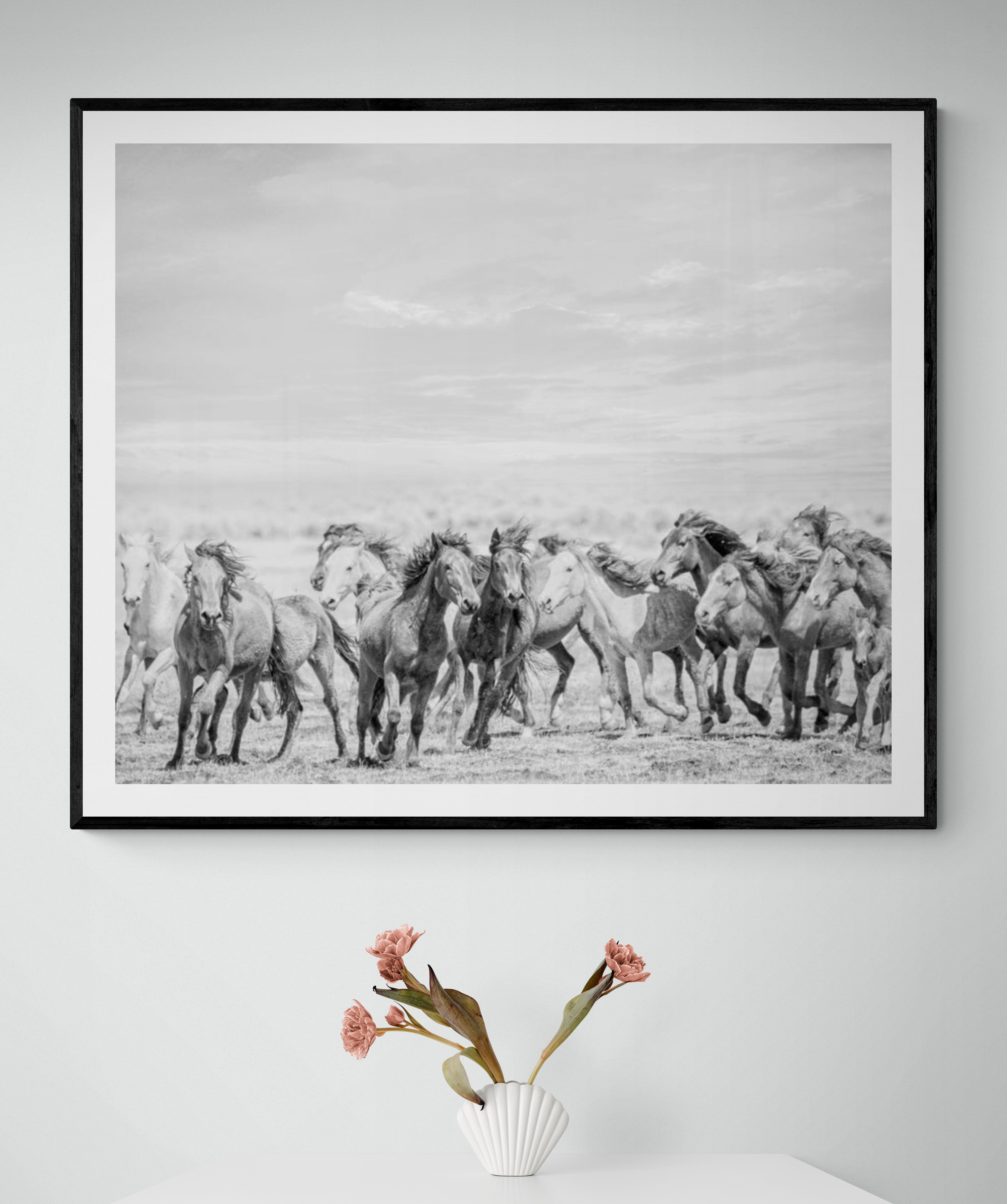 Dies ist eine zeitgenössische Schwarz-Weiß-Fotografie von Wildpferden. 
