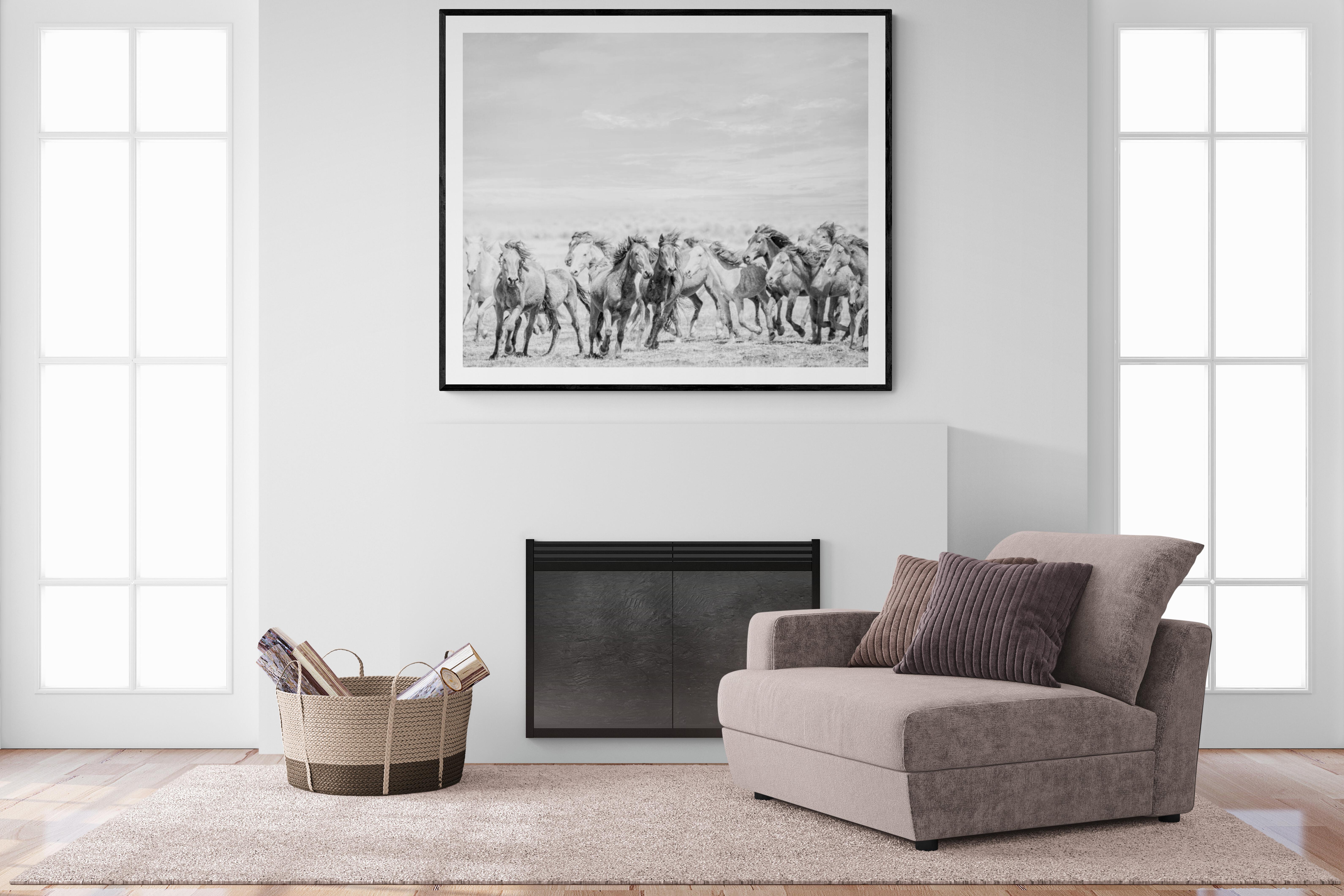 Go West - Photographie noir et blanc 45x60 - Chevaux sauvages - Mustangs non signée en vente 3