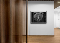 "Grizzly Portrait" 36x48 - Black and White Fine Art  Photography Grizzly Bear