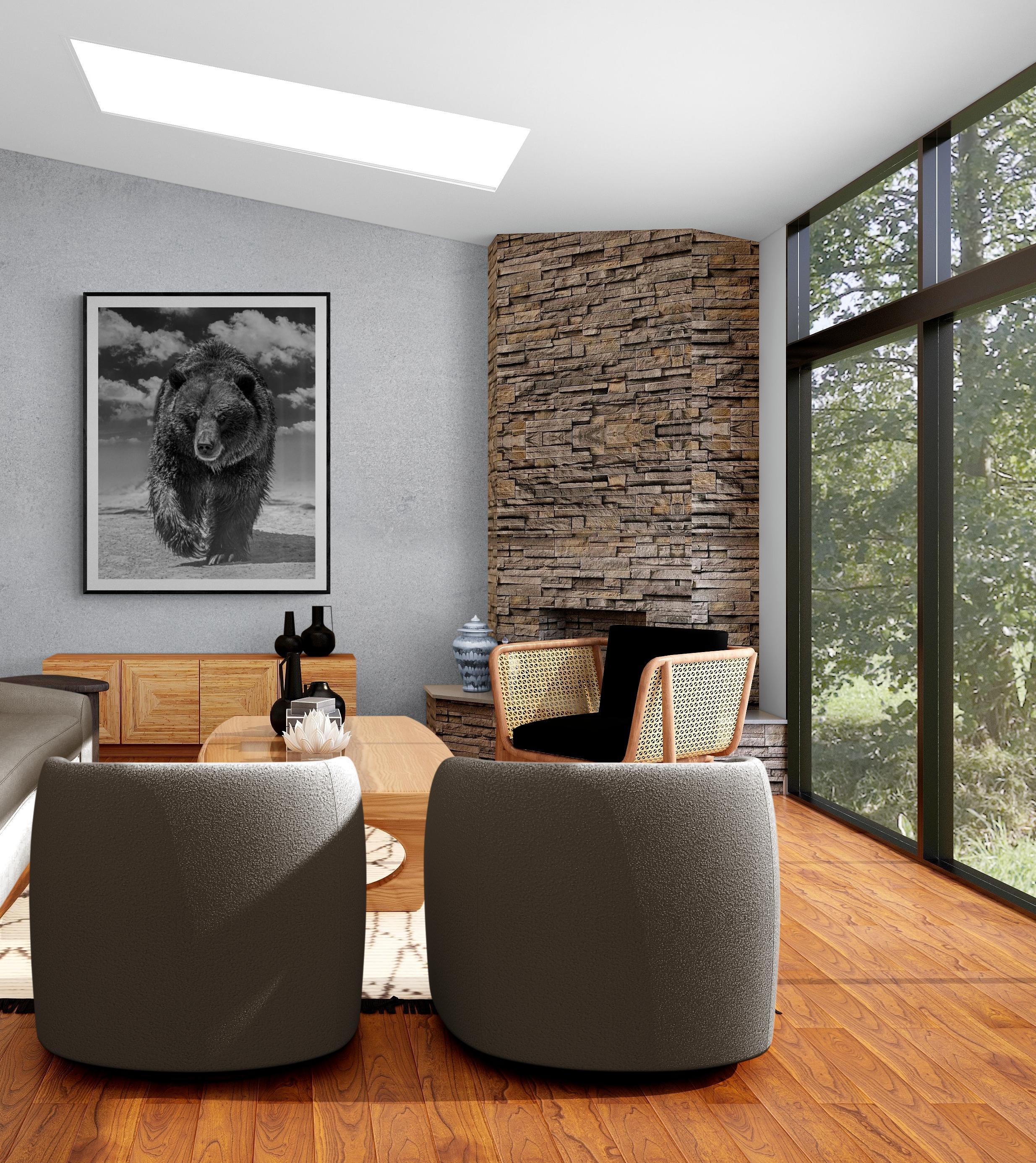 Grizzly Shores 36x48 Photographie d'ours Grizzly Bear non signée - Gris Black and White Photograph par Shane Russeck