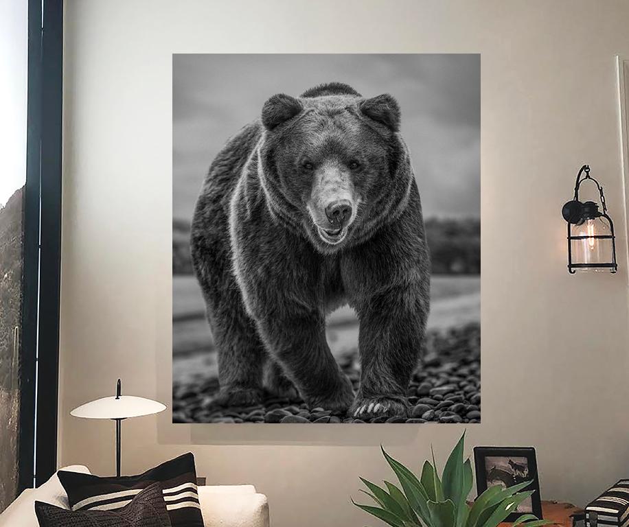 Grizzly Shores 40 x 28 - Photographie d'ours gris en noir et blanc en vente 2