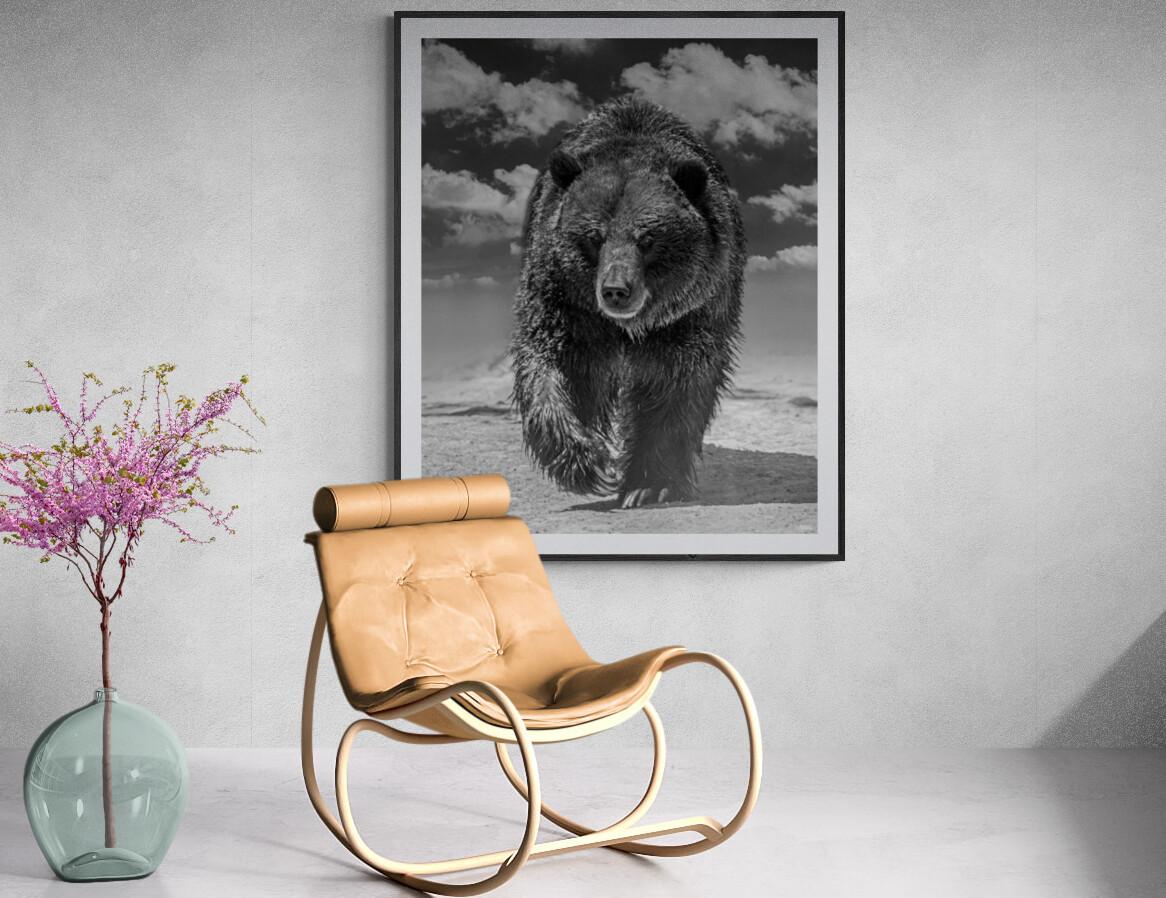 « Grizzly Shores » 40x60 - Photographie en noir et blanc  Grizzly Bear, œuvre d'art signée 5
