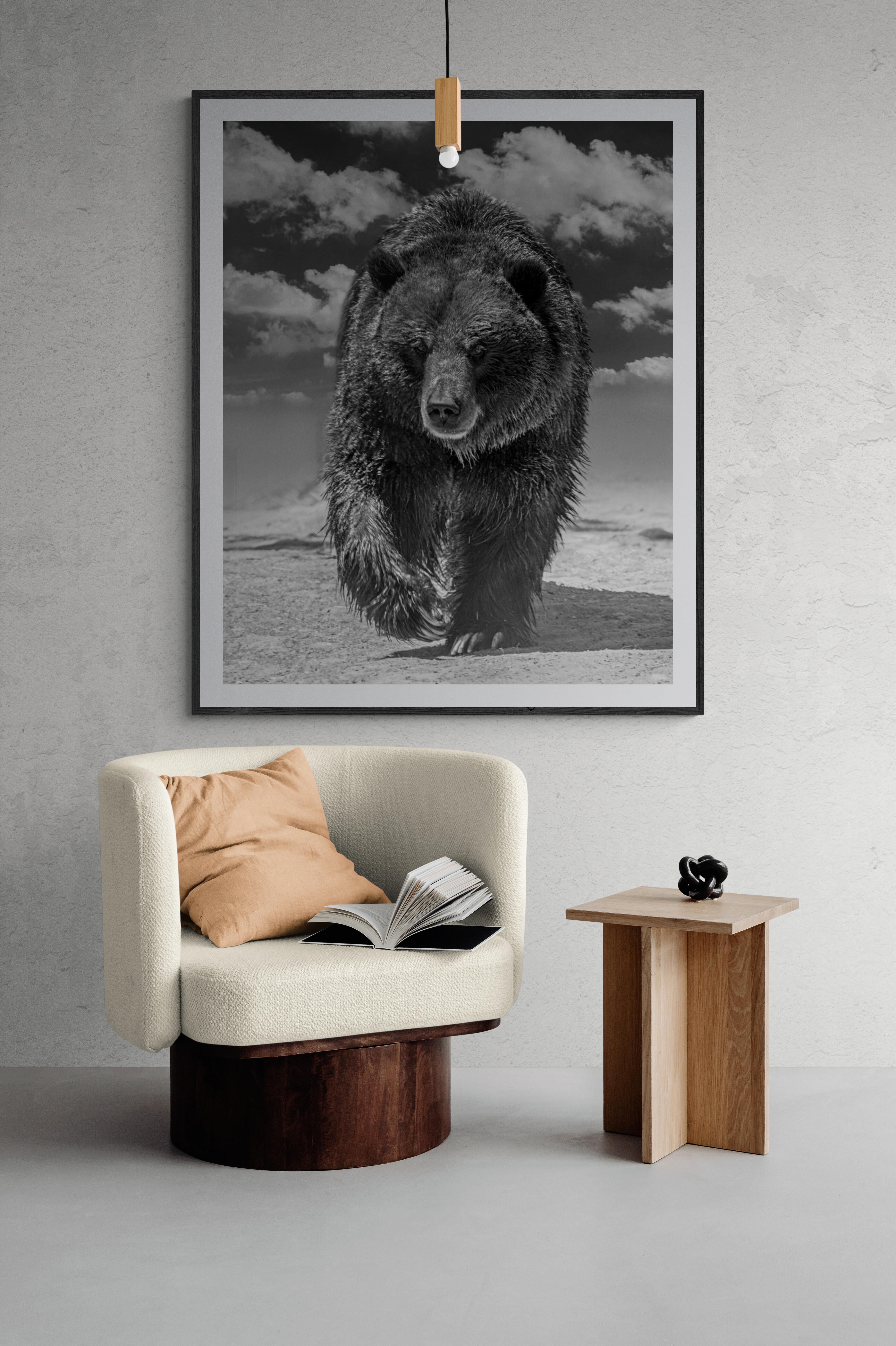 „Grizzly Shores“ 40x60 – Schwarz-Weiß-Fotografie  Grizzly-Bär, unsignierte Kunst – Print von Shane Russeck