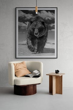 "Grizzly Shores" 40x60 - Black and White Photography  Grizzly Bear, Unsigned Art