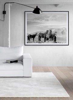 High Sierra Mustangs 36x48 Schwarz-Schwarz-Weiß-Fotografie Wildpferde, unsigniert