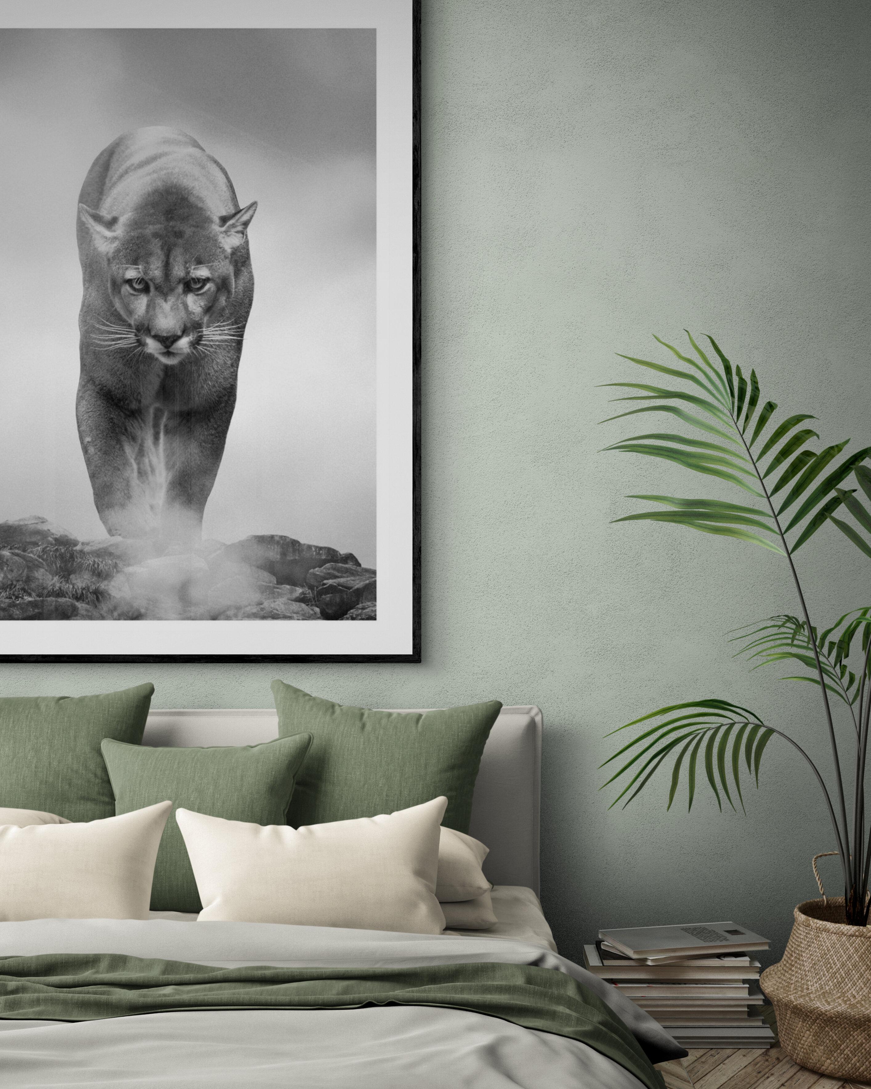 Photographie noir et blanc « King of the Mountain » 40x60, Cougar, Art lion de montagne - Gris Black and White Photograph par Shane Russeck