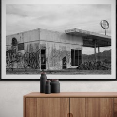 "Locals Only" 40x60 Fine Art Photography of Mountain Lion, Cougar Unsigned Print