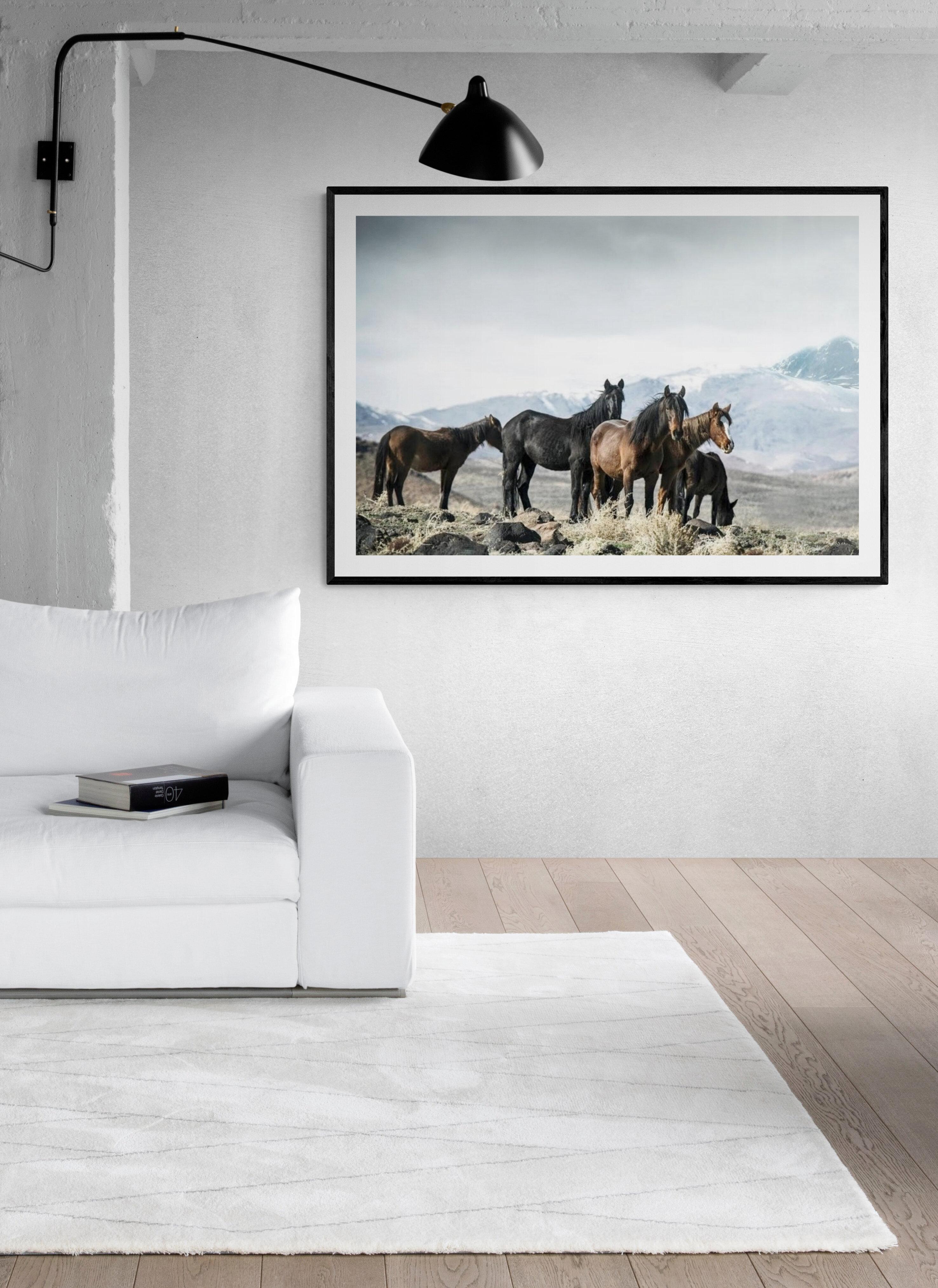 « Fontaines moutardes » 40x60  Photographie de chevaux sauvages, art occidental - Print de Shane Russeck