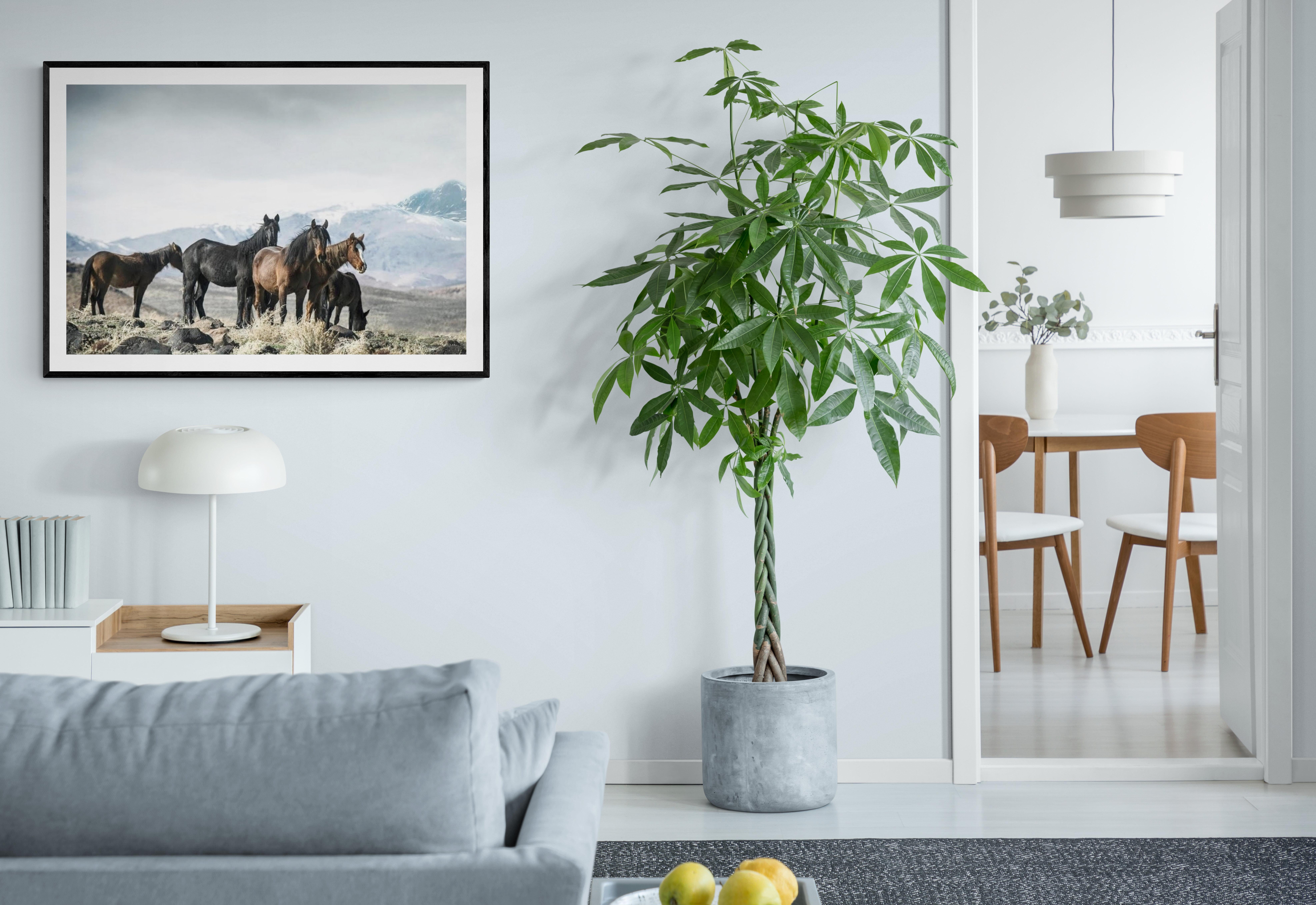 « Fontaines moutardes » 40x60  Photographie de chevaux sauvages, art occidental en vente 2