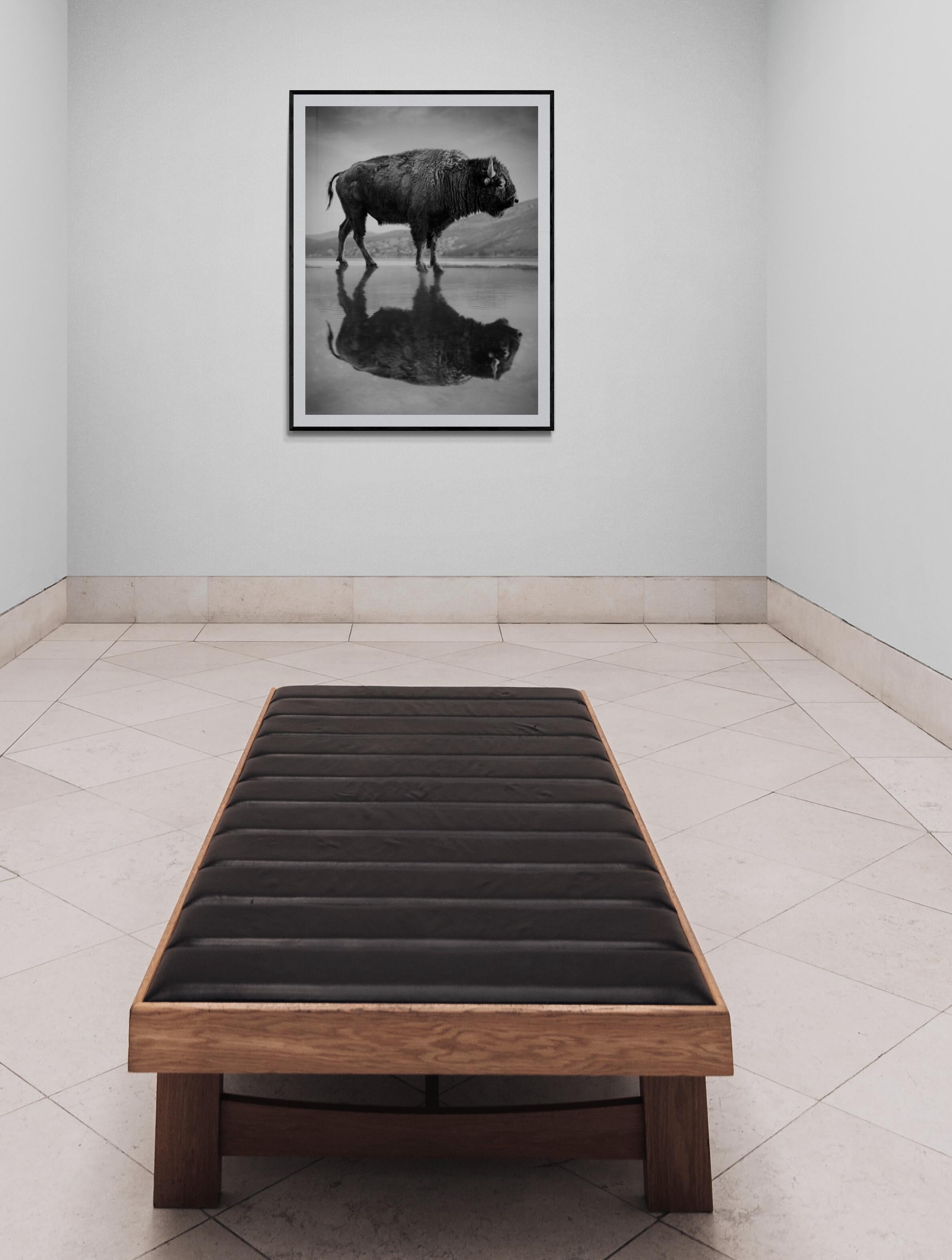 „Old World“ 60x40  Schwarz-Weiß-Fotografie Bison Buffalo, unsignierte Fotografie (Grau), Animal Print, von Shane Russeck