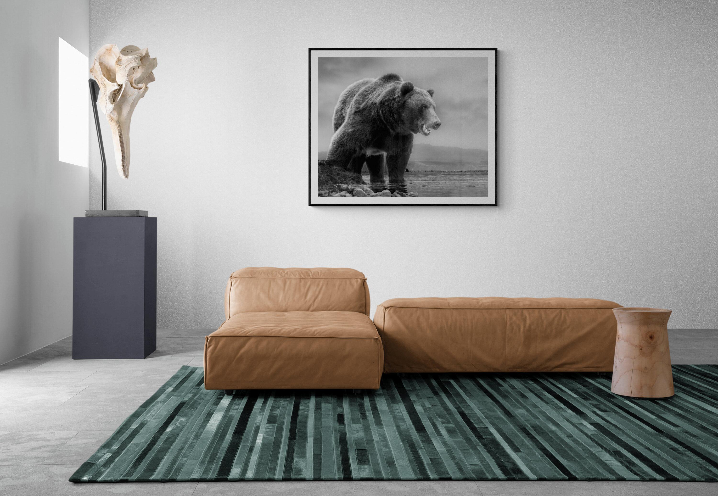 On The Waterfront - 28x40 Black & White Photography, Kodiak Bear Unsigned Print For Sale 1
