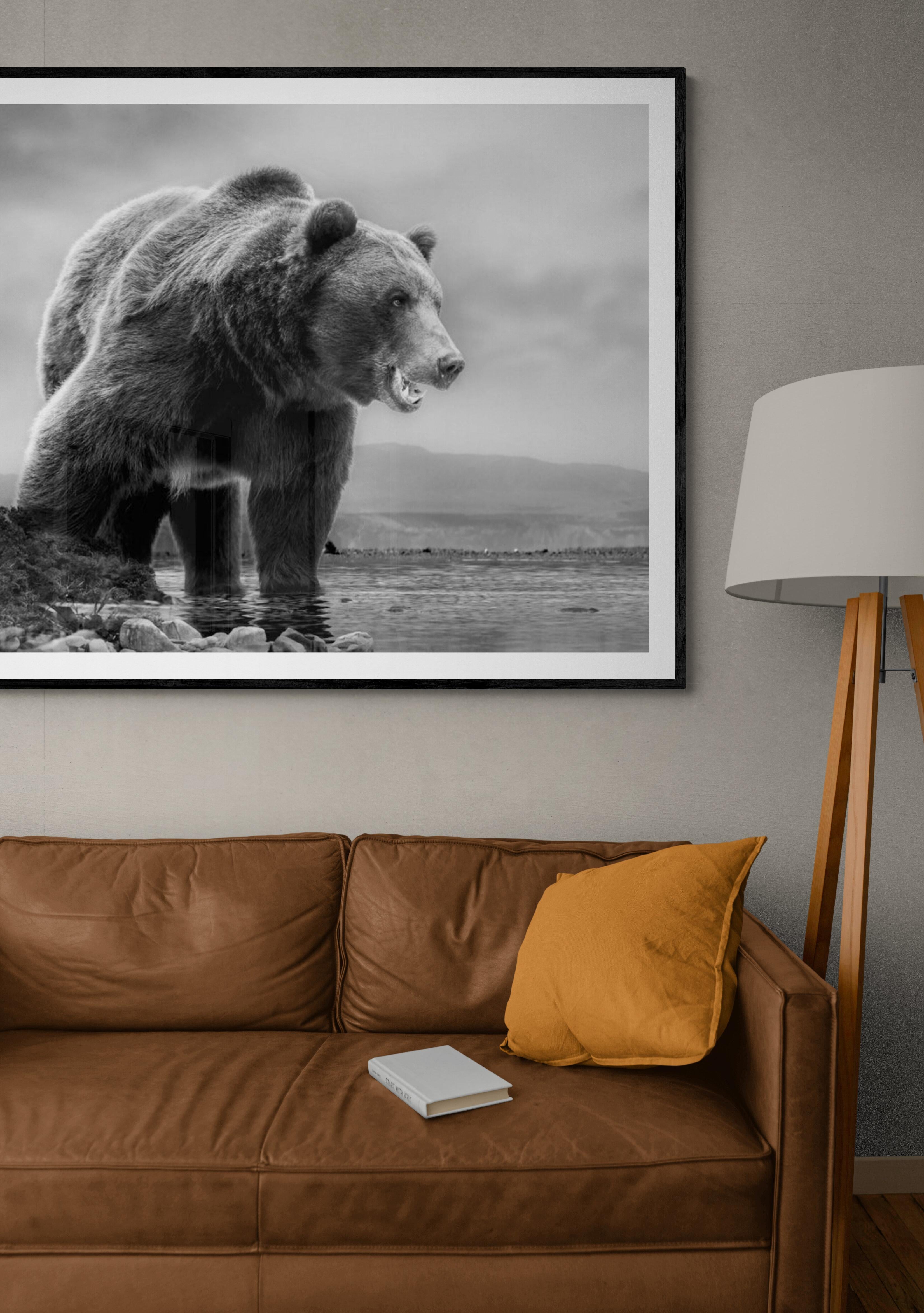 On The Waterfront - 28x40 Black & White Photography, Kodiak Bear Unsigned Print For Sale 3