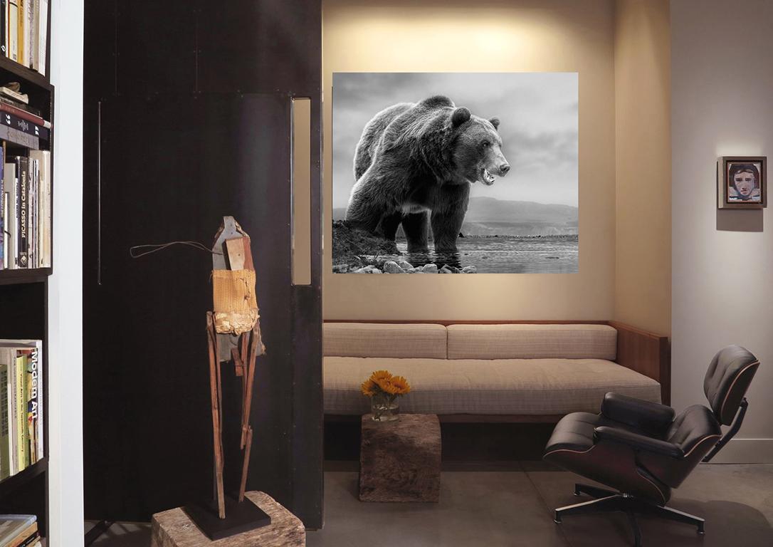 „On The Waterfront“ 45x60 Schwarz-Schwarz-Weiß-Fotografie, Kodiak, Grizzly-Bär-Foto 2