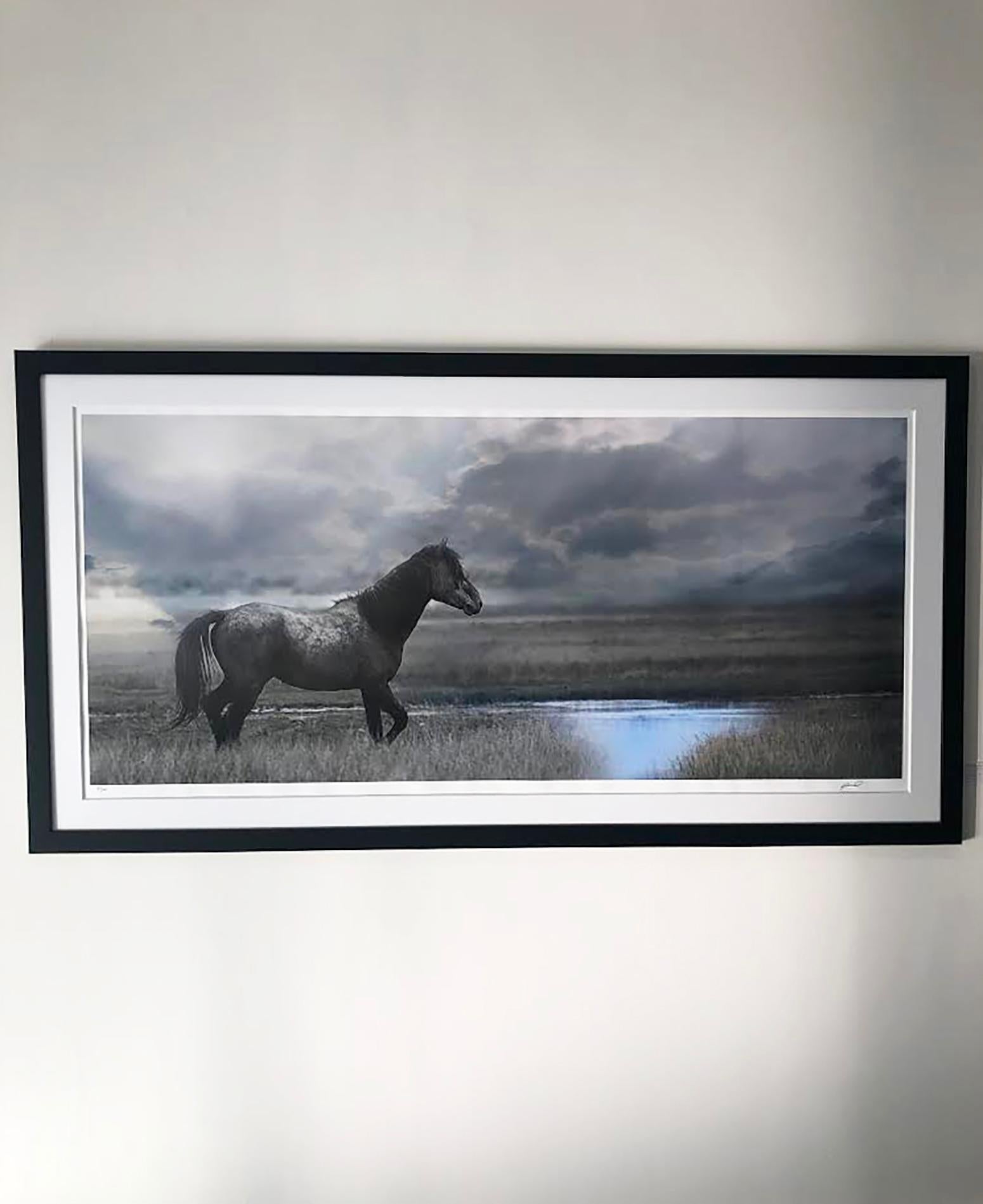 Once Upon a Time in the West - 30 x 60  Wild Horse Photography Fine Art - Gray Landscape Photograph by Shane Russeck