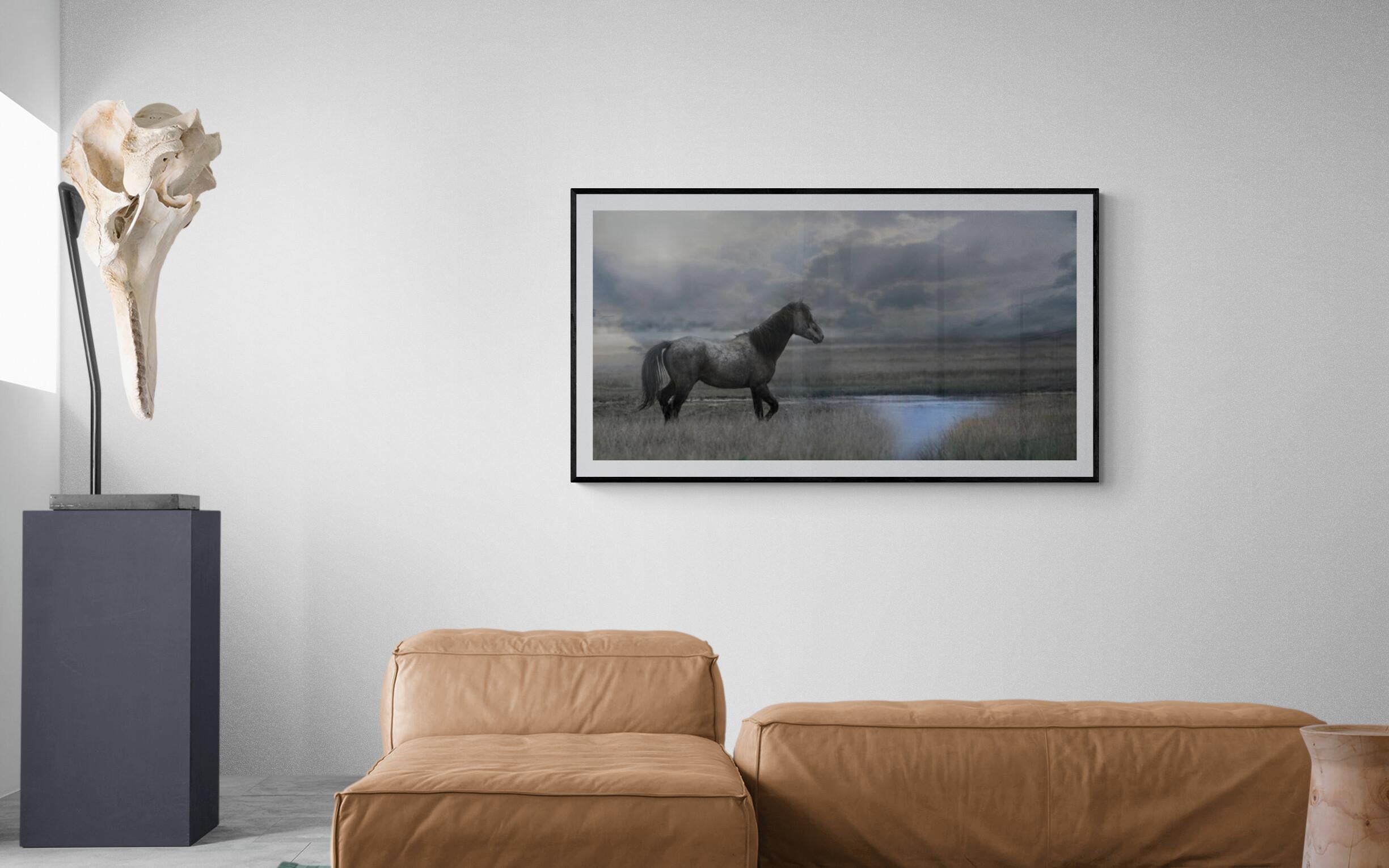 Érase una vez en el Oeste  30x60 Fotografía de Caballo Salvaje Caballos Mustang Arte - Landscape Photograph Gris de Shane Russeck