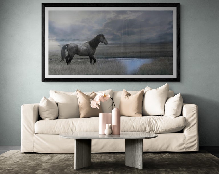 Once Upon a Time in the West  30x60 Photography of Wild Horse Mustang Horses Art For Sale 2