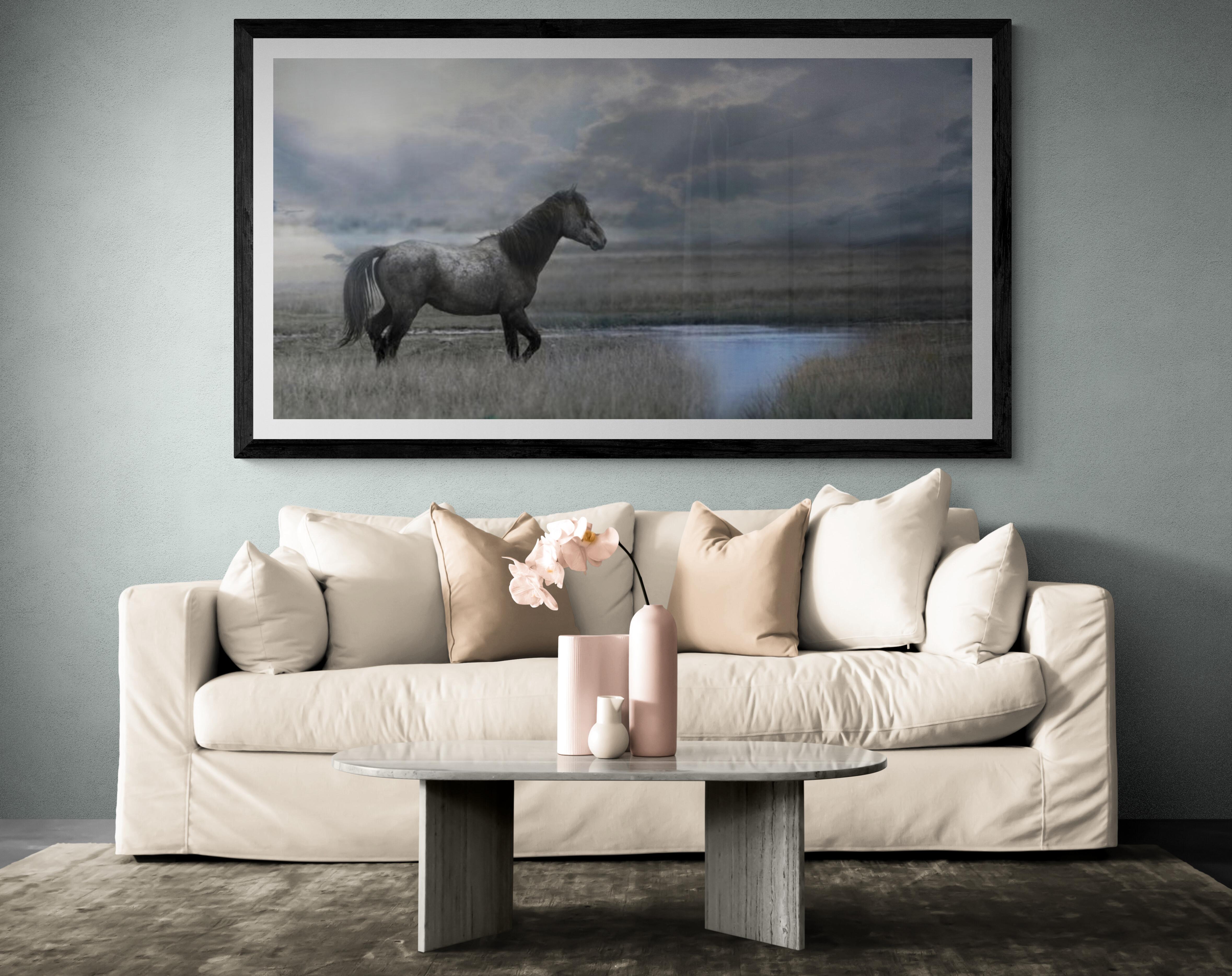 Once Upon a Time in the West  30x60 Photography of Wild Horse Mustang Horses Art 1