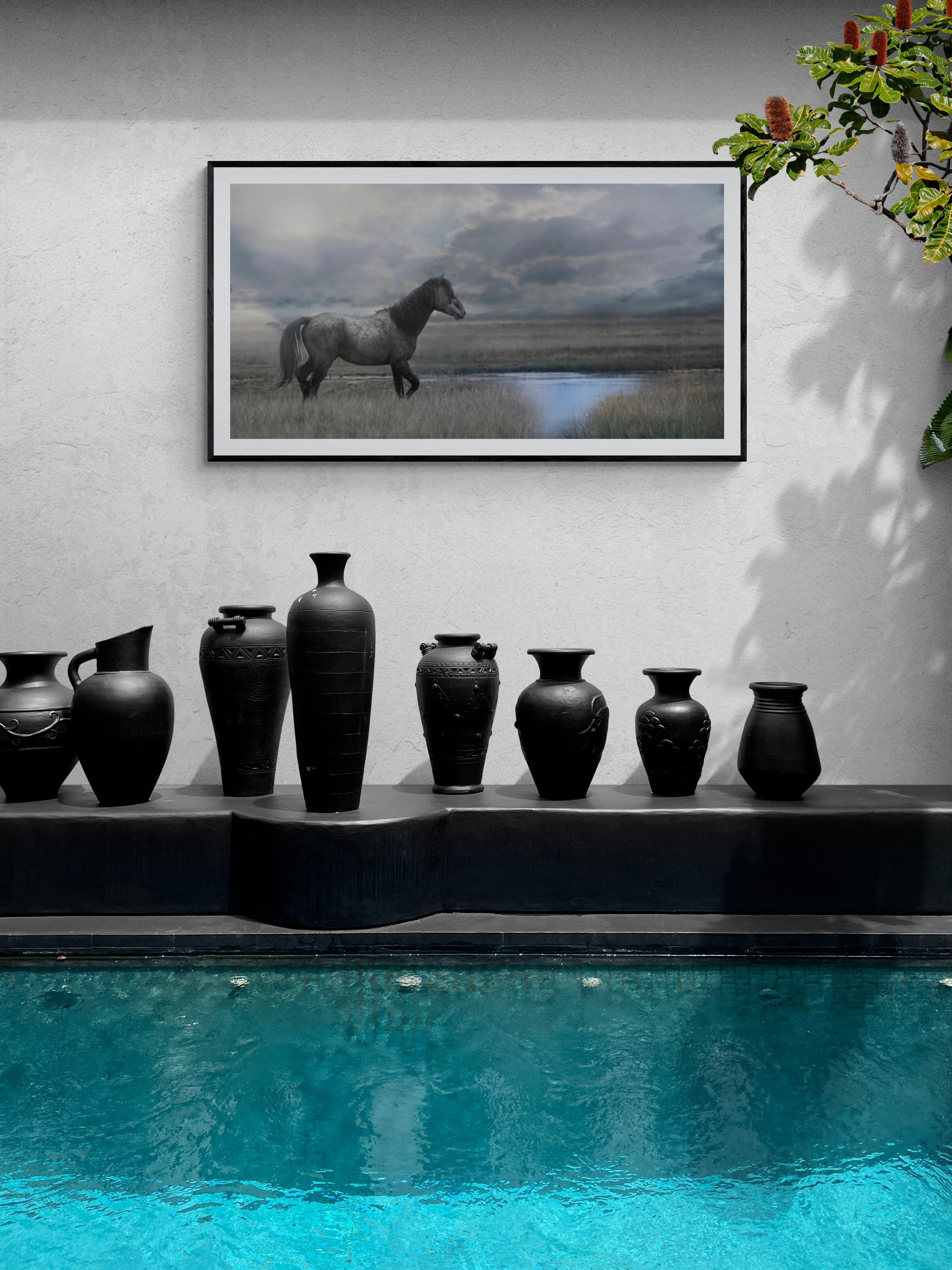 „Once Upon a Time in the West“ 30x60, Wildpferdfotografie, Senffotografie 2