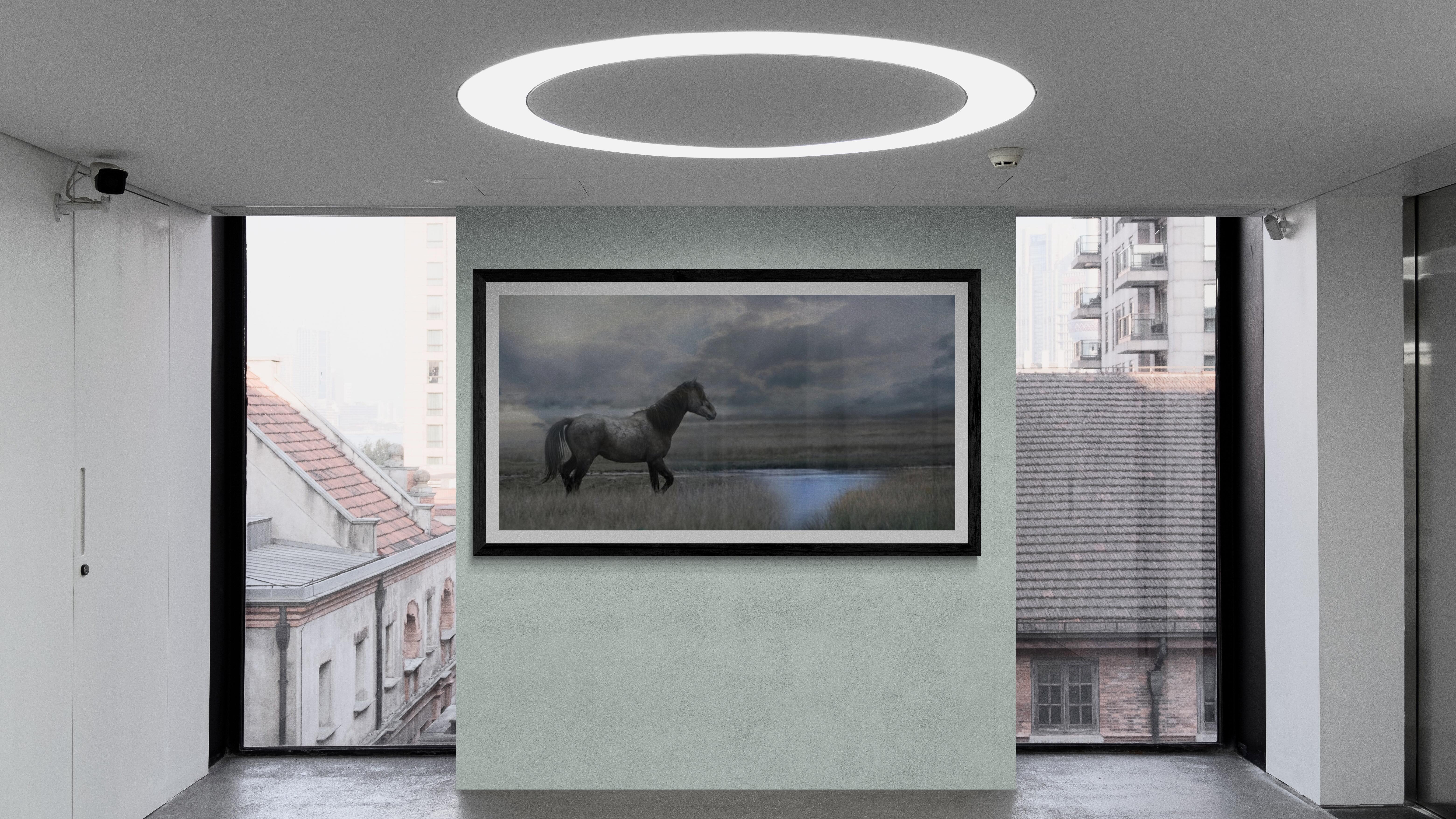 C'era una volta il West - 40x80  Fotografia Cavallo selvaggio Mustang - Print di Shane Russeck