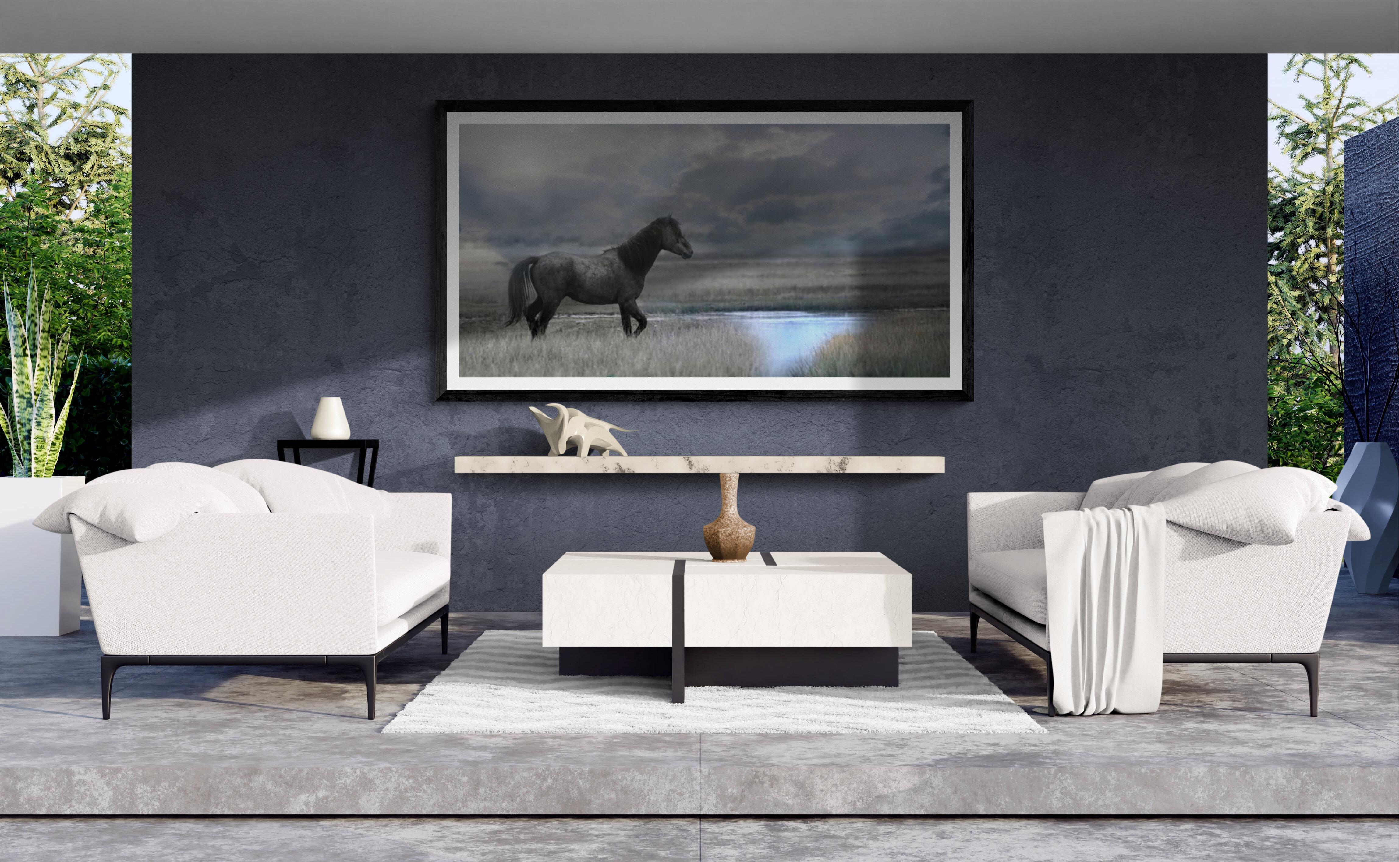 C'era una volta il West - 40x80  Fotografia Cavallo selvaggio Mustang - Animal Print Grigio di Shane Russeck