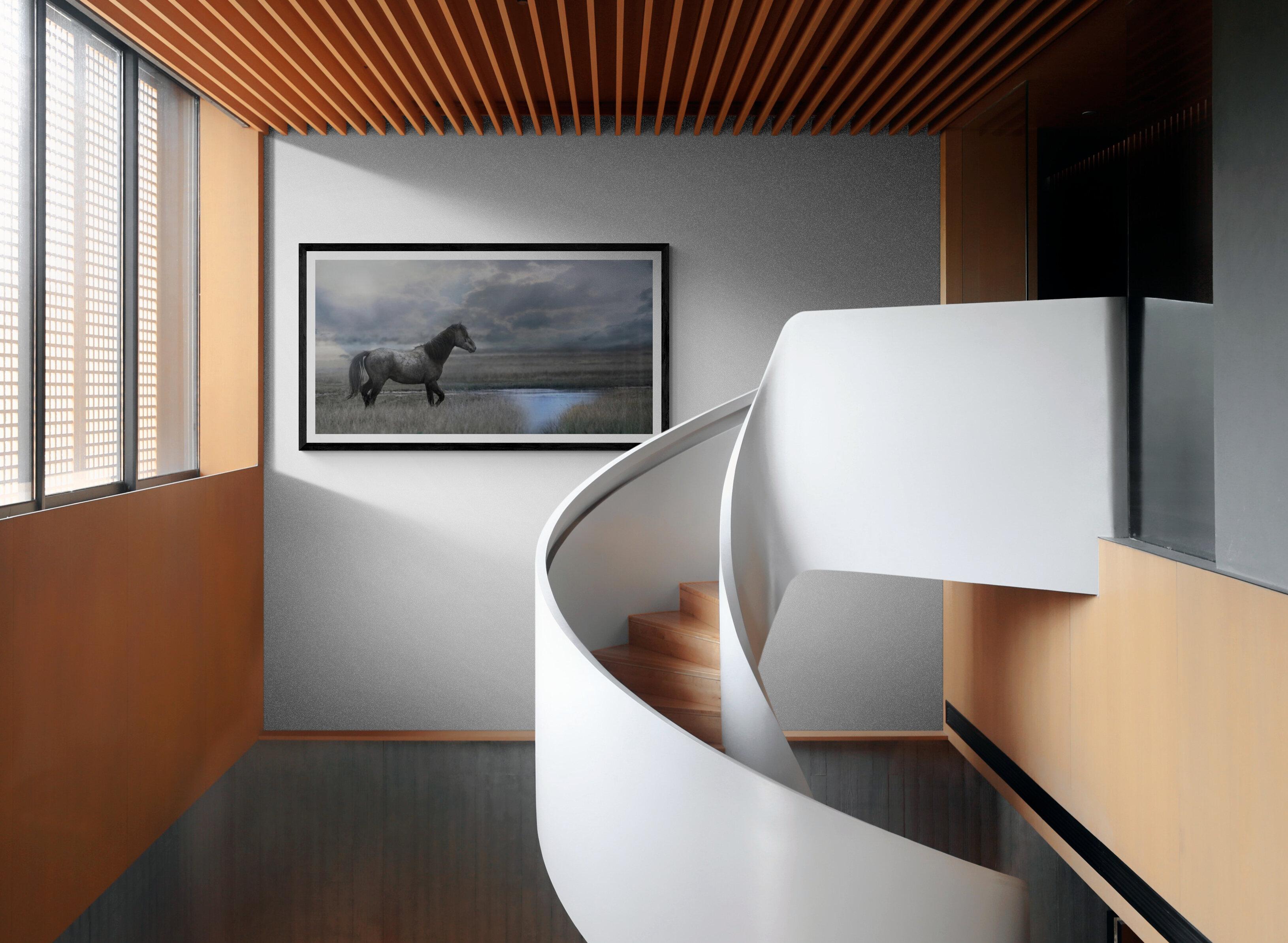 Érase una vez en el Oeste - 40x80  Fotografía Caballo salvaje Mustang Fotografía 2