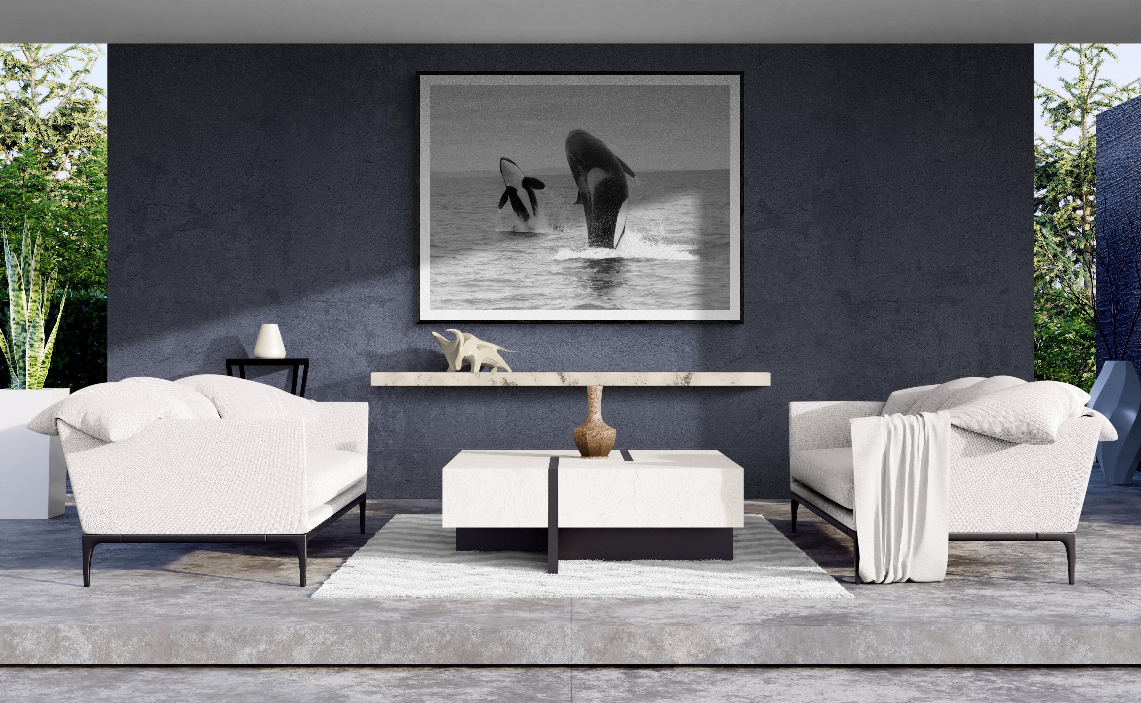 „Orca-Doppelbreach“  36x48 Schwarz-Weiß Killer Wal-Fotografie  im Angebot 1