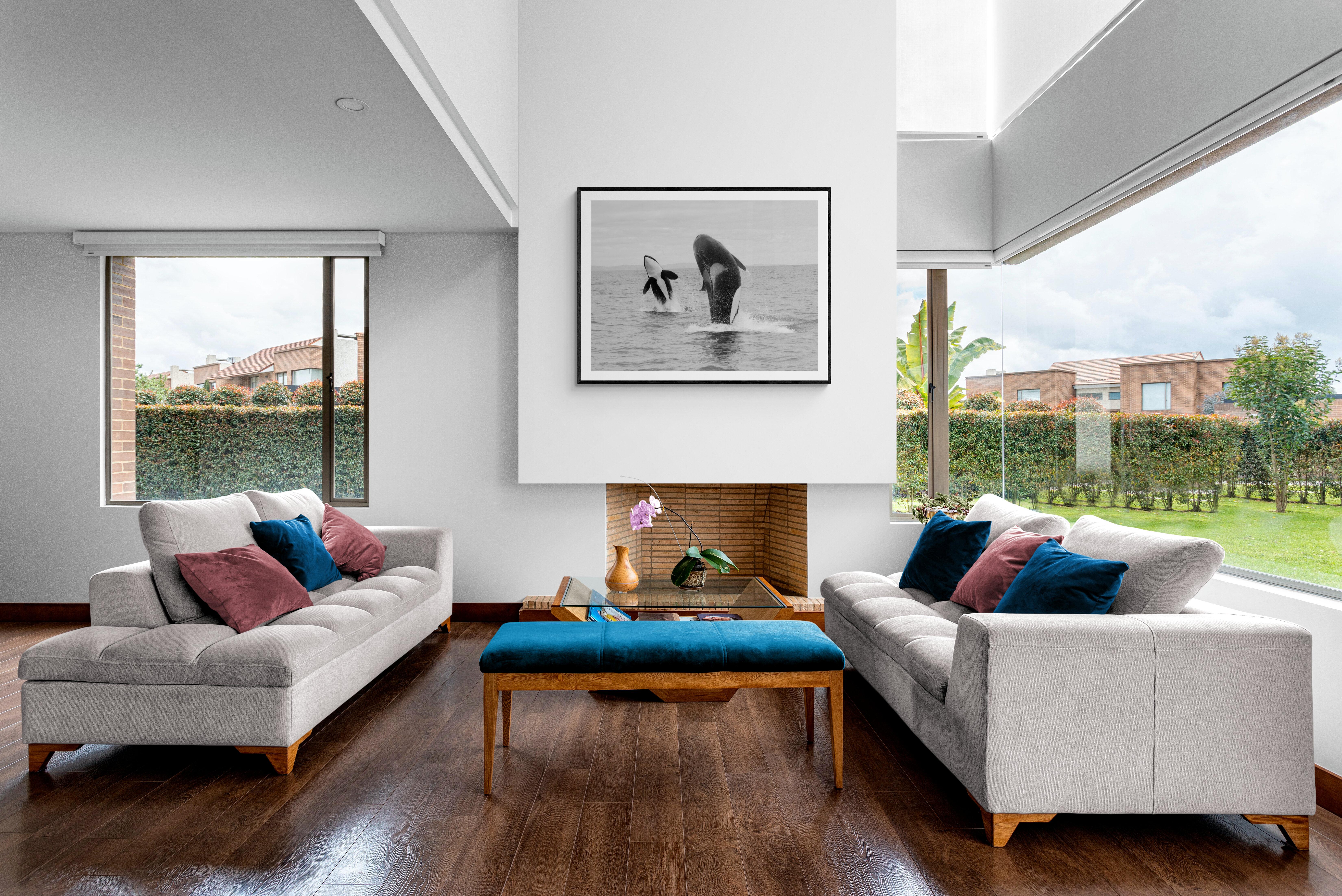 „Orca Double Breach“ 45x60 Schwarz-Weiß-Fotografie mit Killer-Whale – Print von Shane Russeck