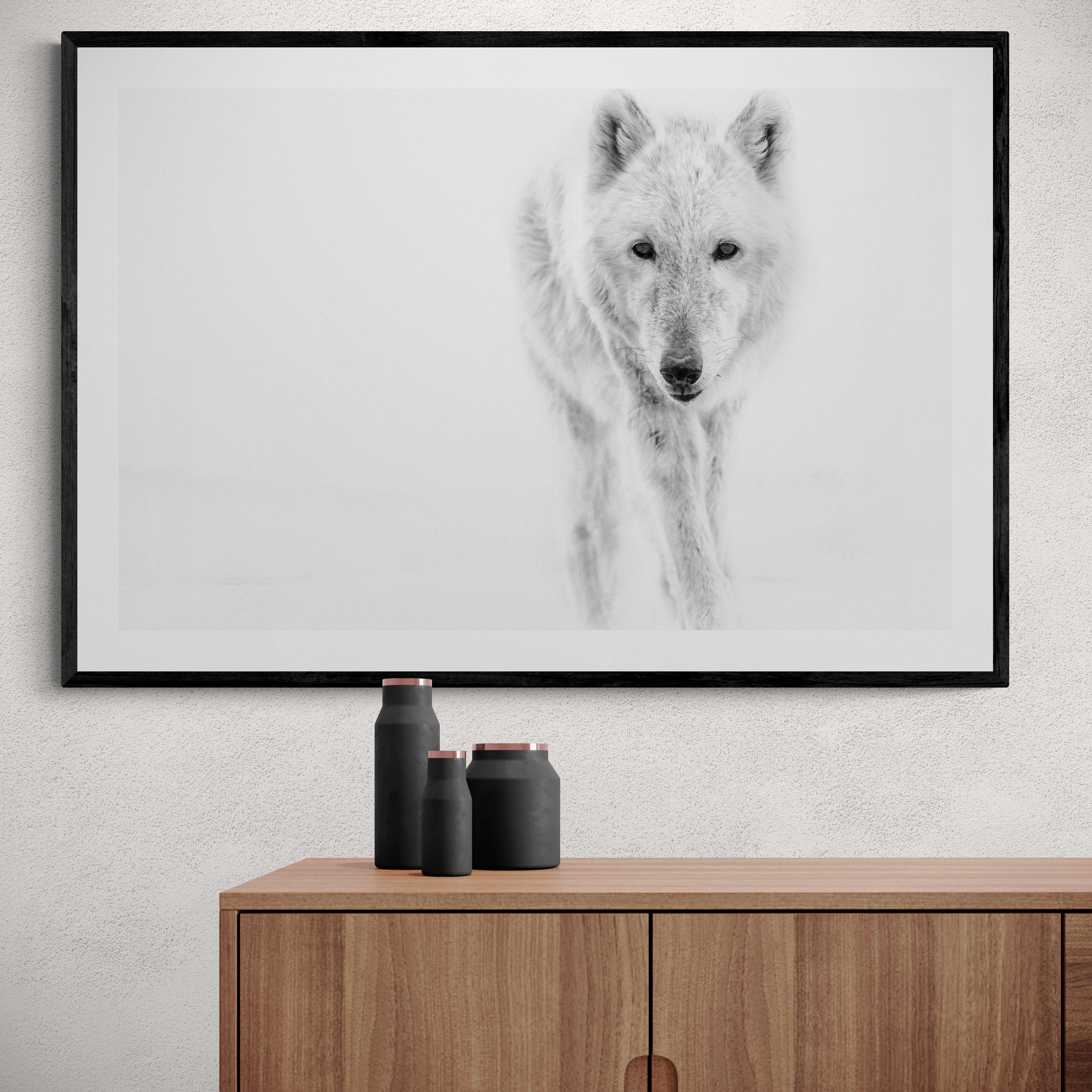 Fotografie von „Arctic Wolf“ 36x48  Schwarz-Weiß-Fotografie, Wolken-Kunstdruck (Grau), Black and White Photograph, von Shane Russeck