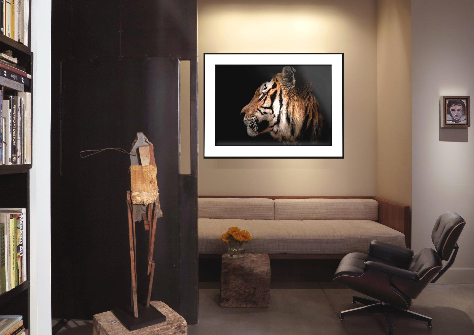 This is a contemporary photograph of a Tiger by Shane Russeck. 
60x40 edition of 10
Printed on archival paper using archival inks
Singed and numbered  

Shane Russeck is a modern day photographer, adventurer, and explorer. He first picked up a