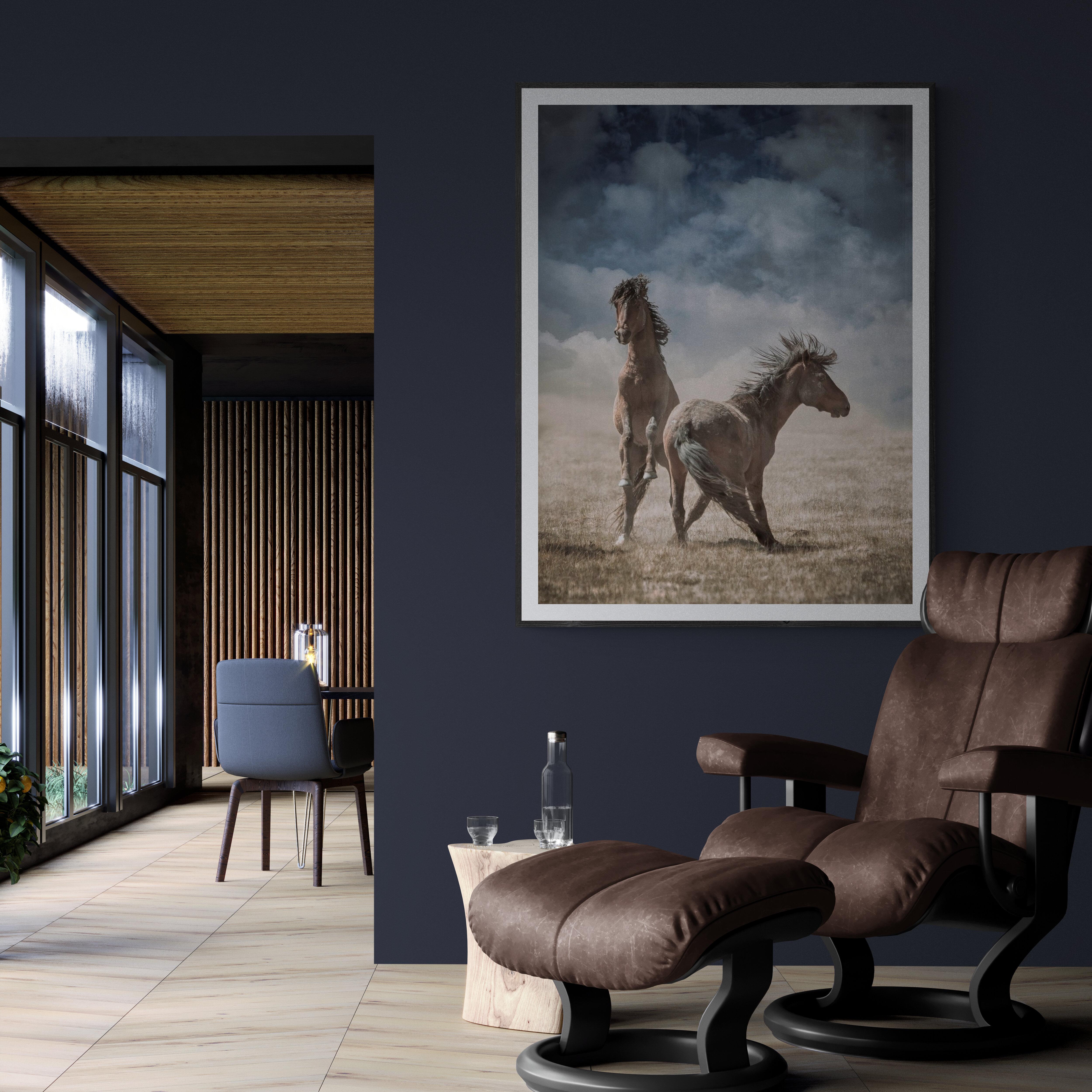 Il s'agit d'une œuvre contemporaine.  photographie sur papier d'archivage. Shane Russeck est connu dans le monde entier pour ses images de chevaux sauvages. 
Il s'agit de l'une des trois seules images en couleur qu'il a créées dans cette série.

