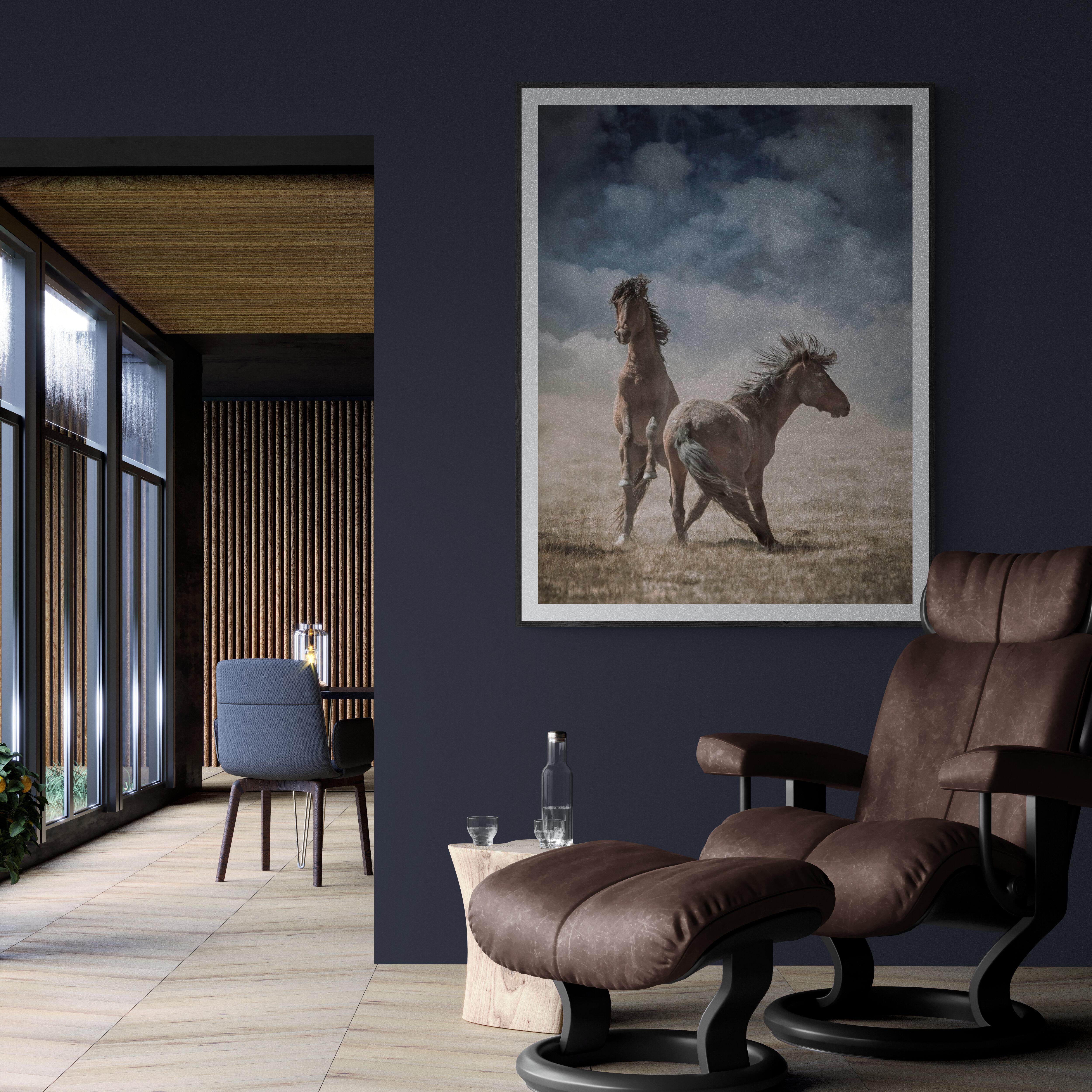 Photographie de chevaux sauvages, moutons sauvages, « Chevaux sauvages »  Photographie 30 x 40 - Gris Black and White Photograph par Shane Russeck