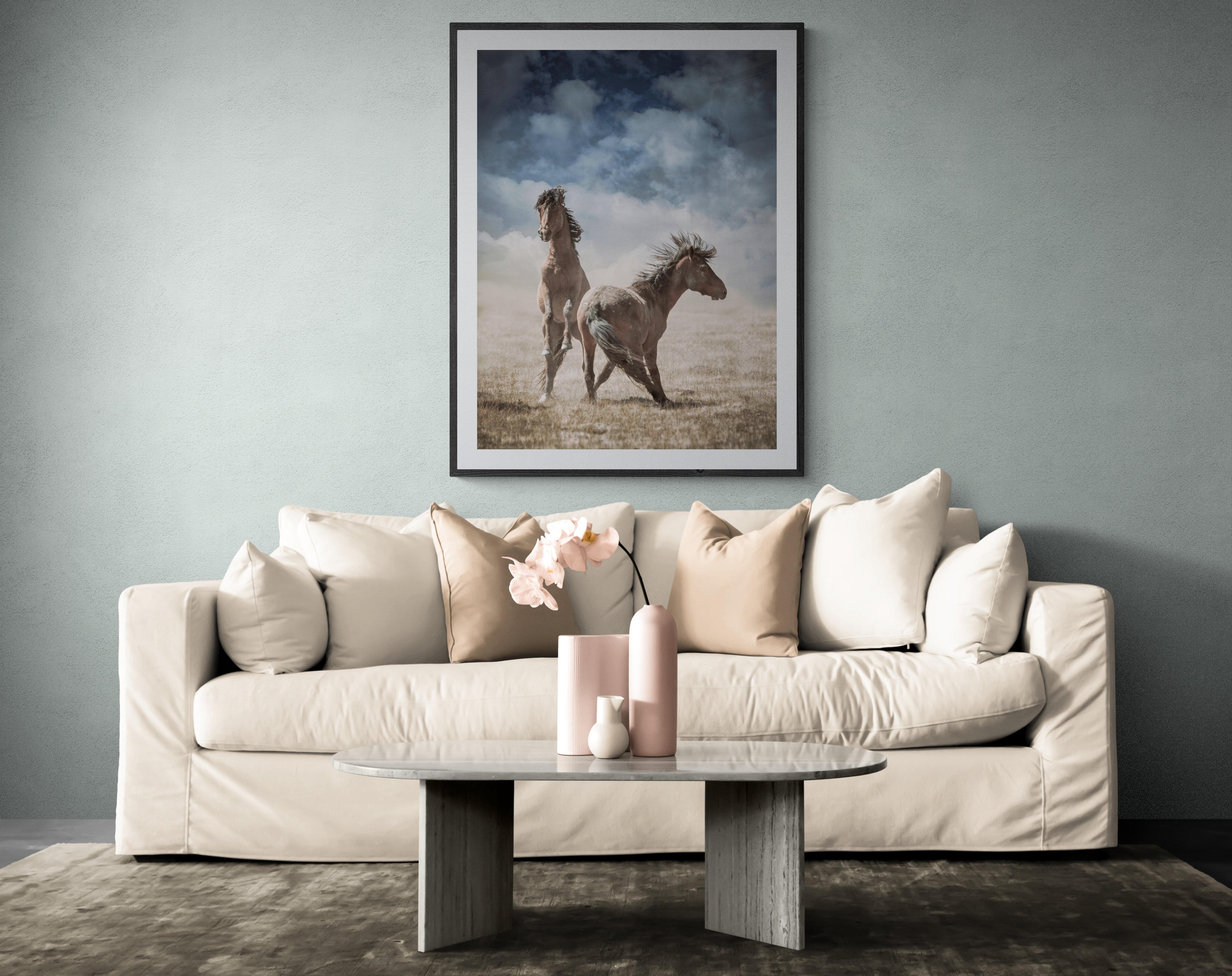 Il s'agit d'une œuvre contemporaine.  photographie sur papier d'archivage. Shane Russeck est connu dans le monde entier pour ses images de chevaux sauvages. 
Il s'agit de l'une des trois seules images en couleur qu'il a créées dans cette série.

