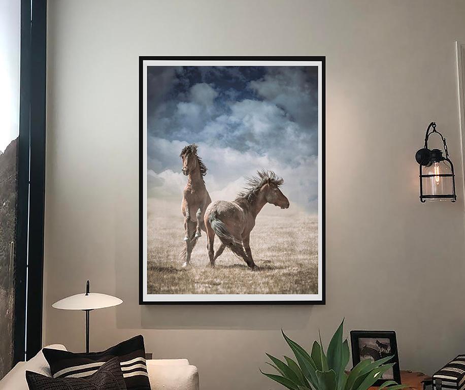 Fotografie von Wildpferden, Wild senffarben, „Wolkenpferden“  30 x 40 Fotografie: im Angebot 2
