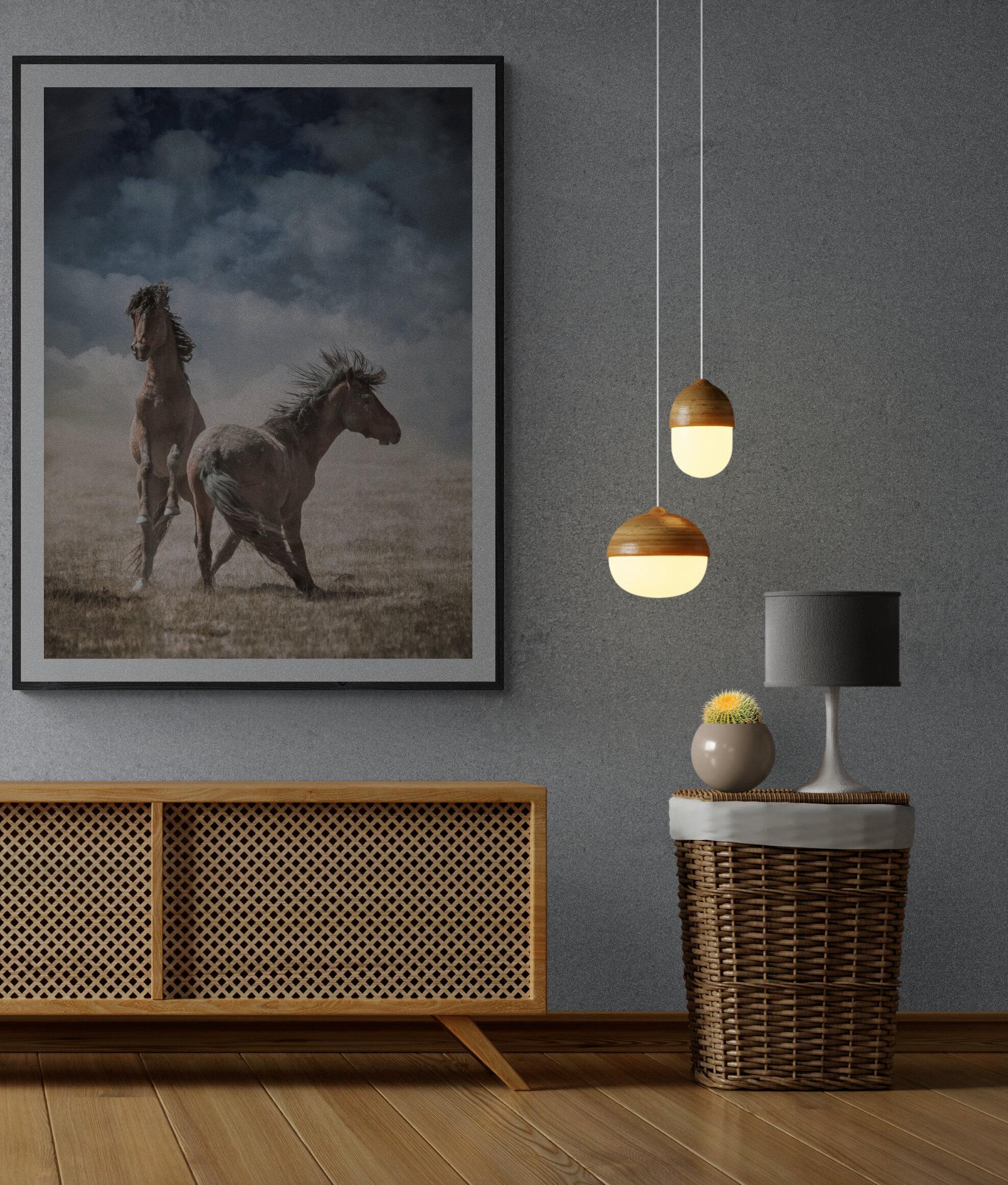 Photographie de chevaux sauvages, moutons sauvages, « Chevaux sauvages »  Photographie 30 x 40 4