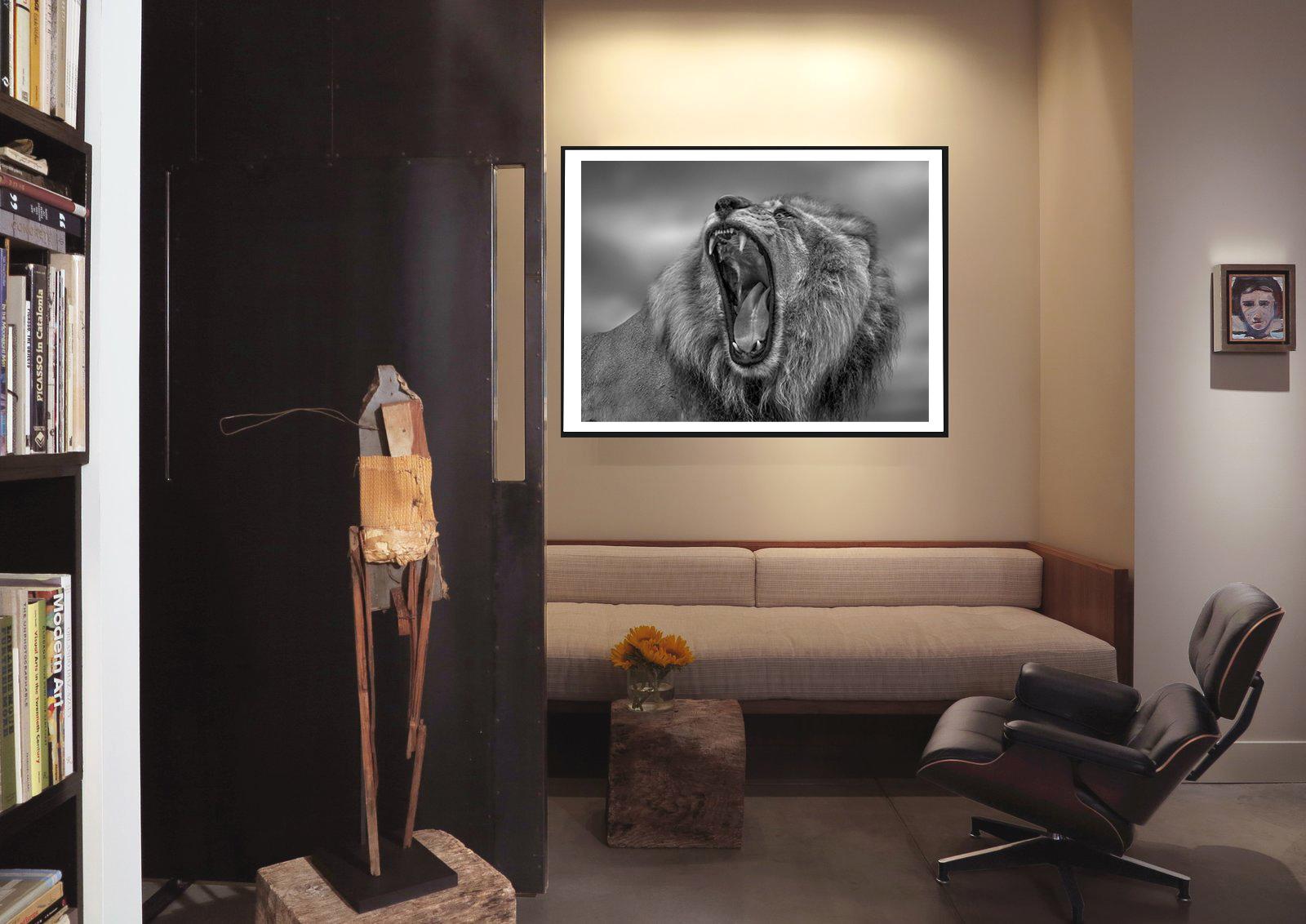 « Roar » - Photographie de lion noir et blanc 40x60, Afrique, photographie de lion non utilisée - Gris Black and White Photograph par Shane Russeck