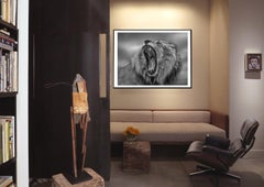 "Roar" - 40x60 Black & White Lion Photography , Africa, Lion Photograph Unsinged