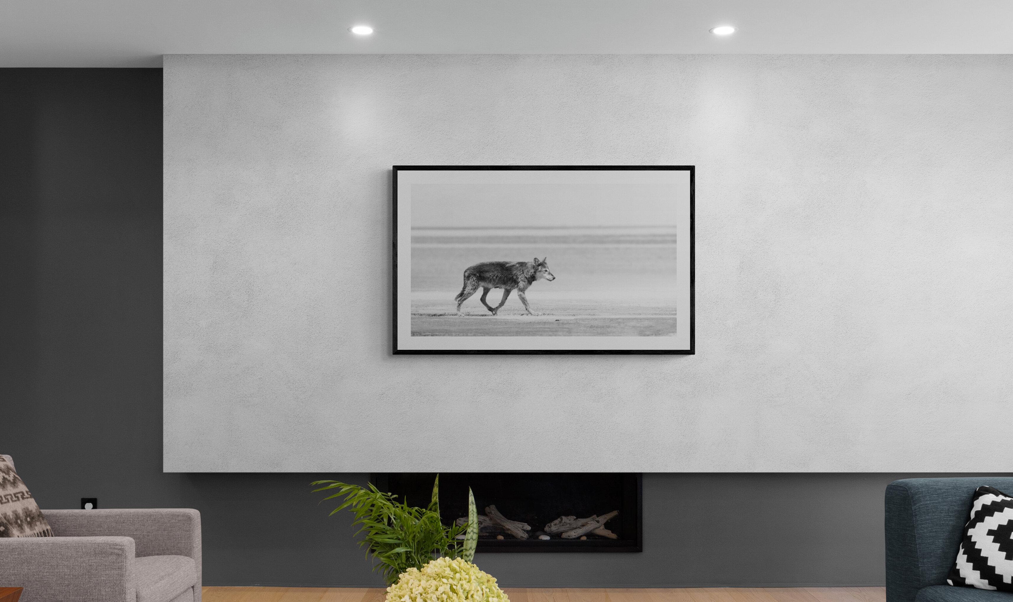 « Sea Wolf » 30x60  Loup noir et blanc, Wolfe, Photographie Art photographique en vente 1