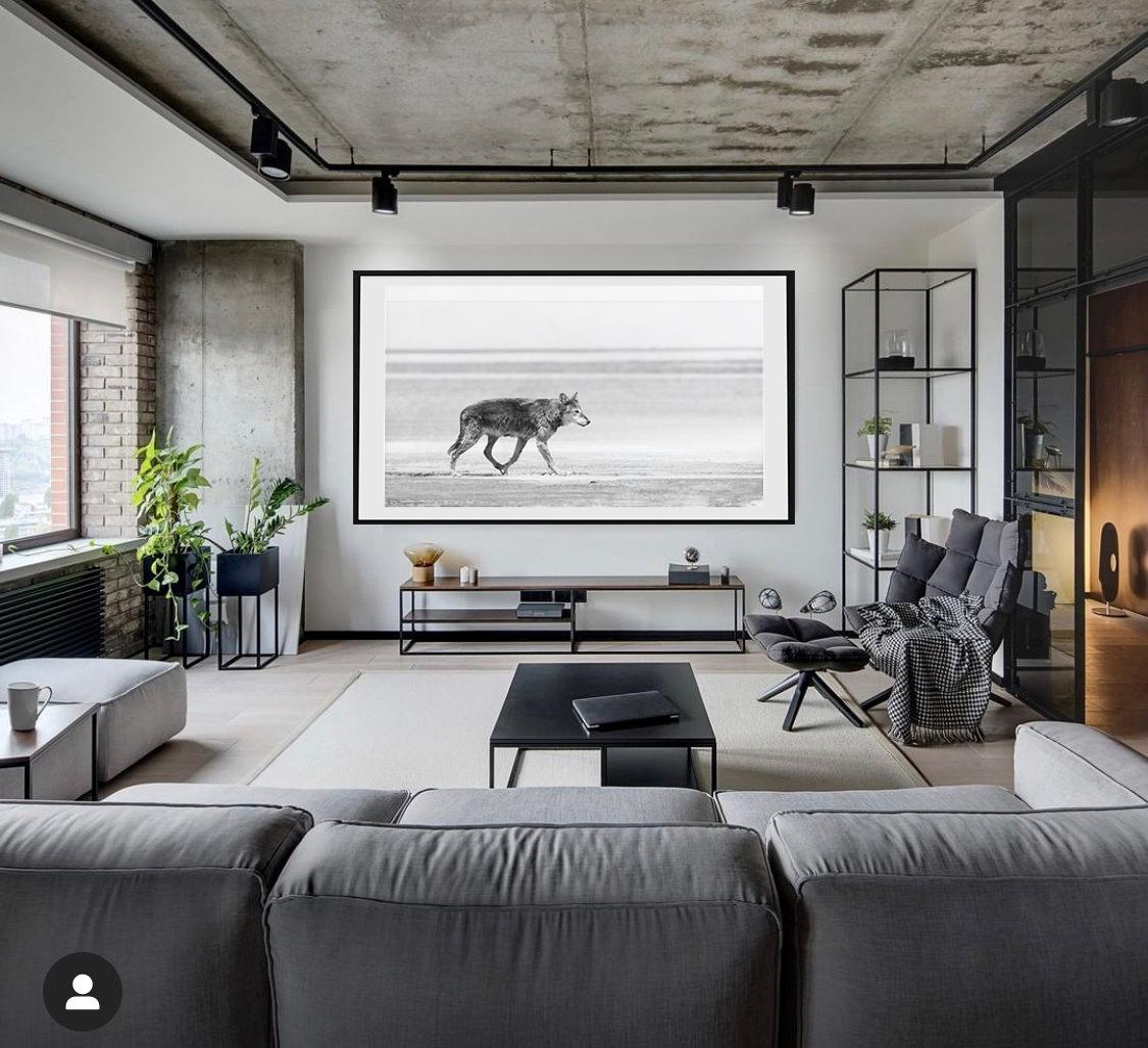 Le loup des mers 30x60 - Photographie contemporaine en noir et blanc, Wolves Nonsigned Art - Print de Shane Russeck