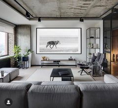 Sea Wolf 30x60 - Contemporary Black and White Photography, Wolves Unsigned Art