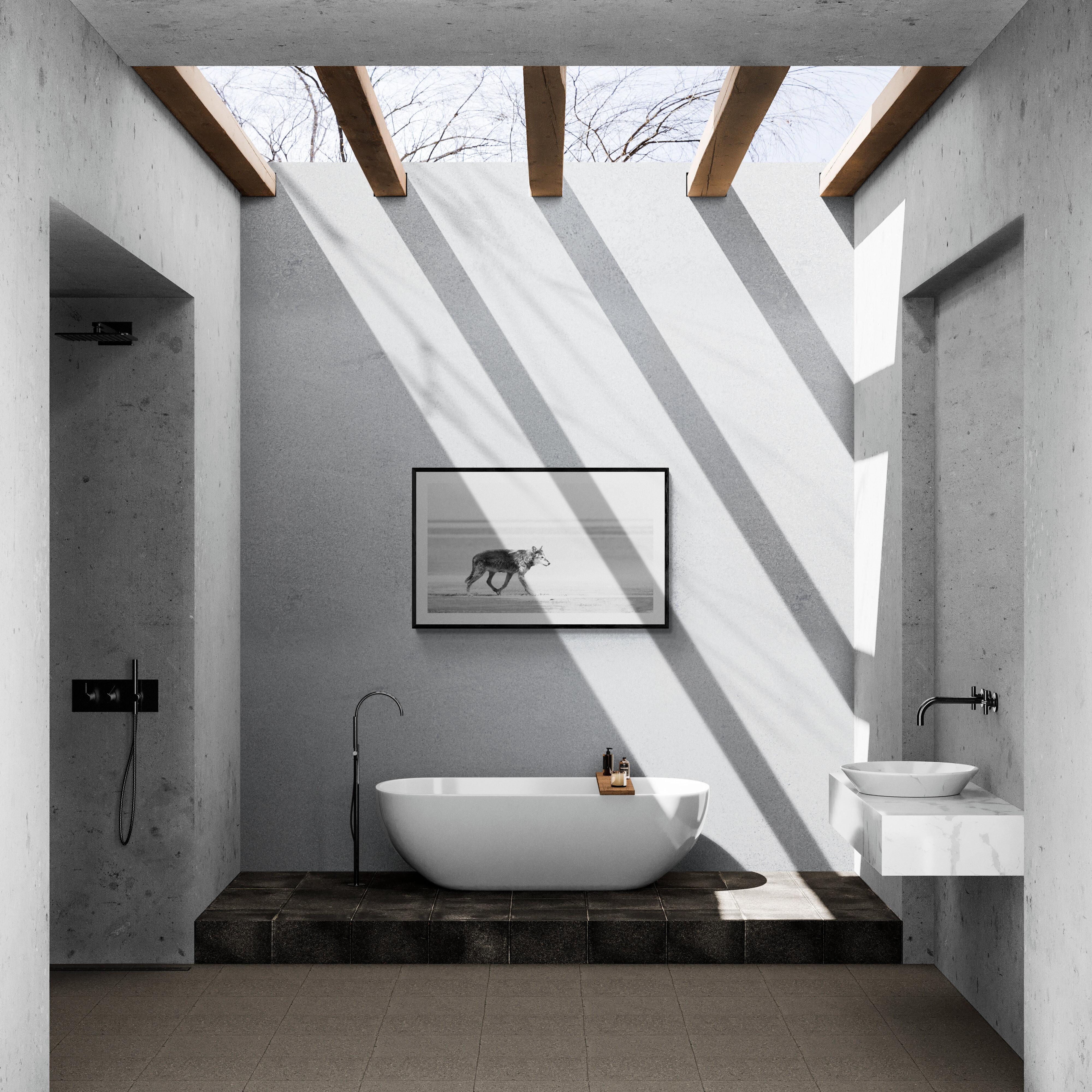 Le loup des mers 30x60 - Photographie contemporaine en noir et blanc, Wolves Nonsigned Art en vente 1