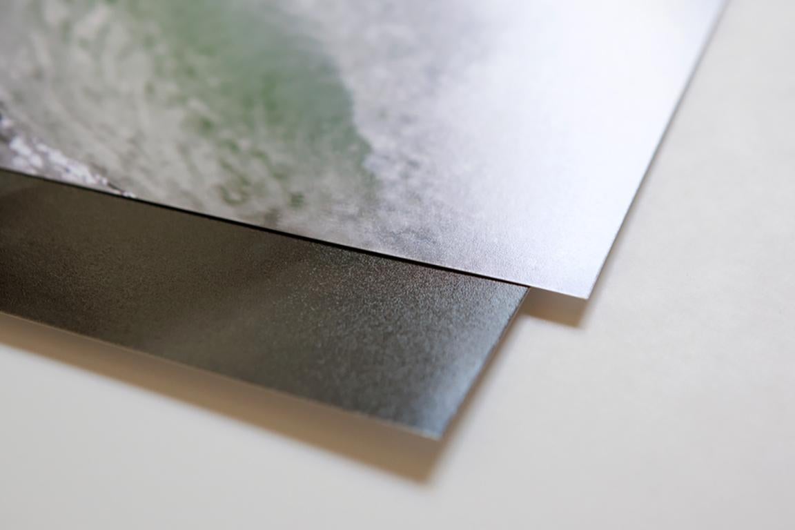 Le loup des mers 30x60 - Photographie contemporaine en noir et blanc, Wolves Nonsigned Art en vente 2