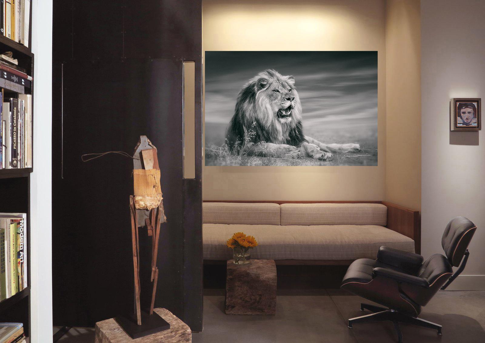This is a contemporary photograph of an African Lion. 
Printed on Archival Paper Using Archival ink
50x60 Edition of 12. Signed by Shane. 

Printed on archival paper and using archival inks 
Framing available. Inquire for rates.  

 Shane Russeck