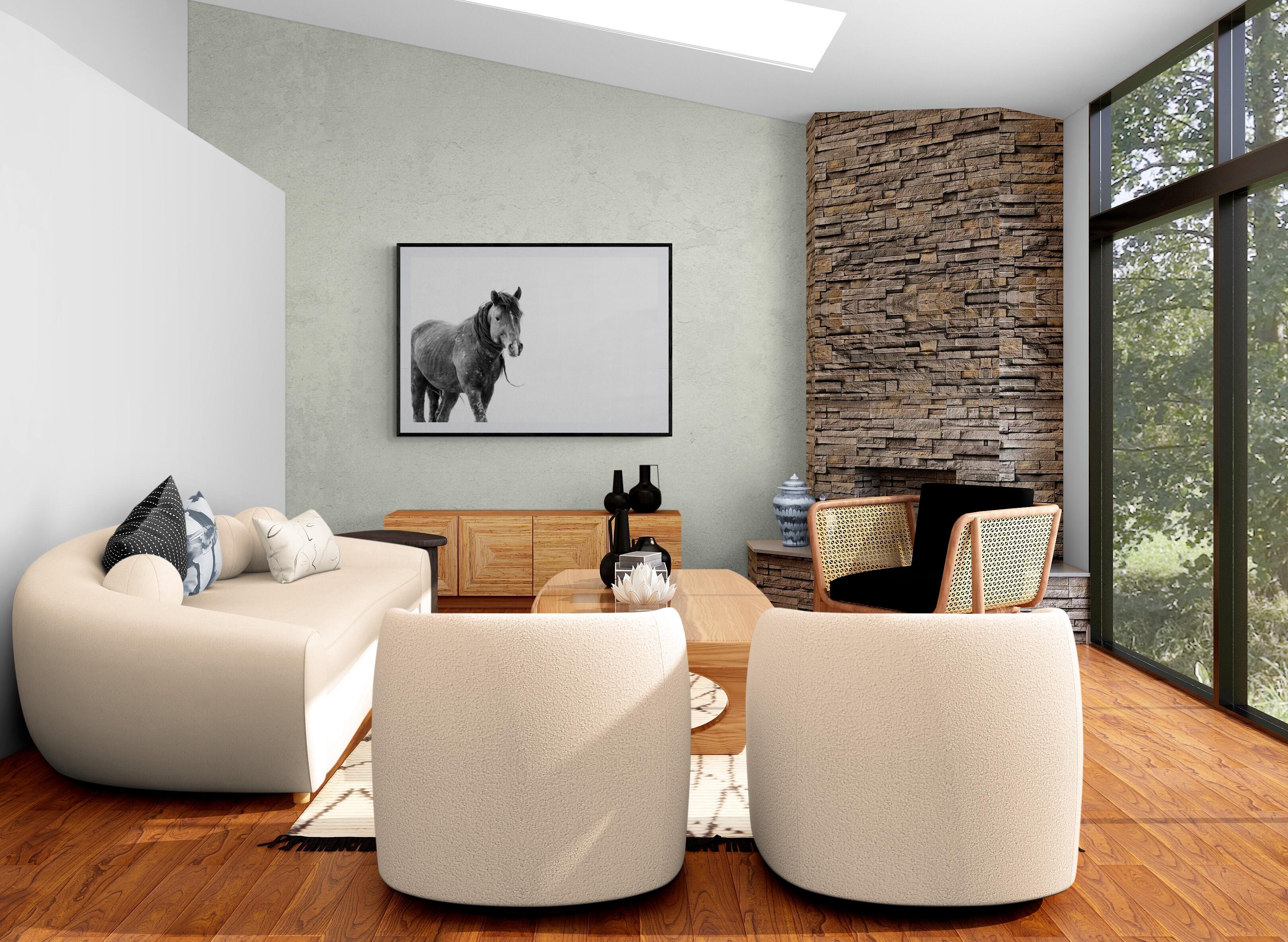 SOLO 36x48  Black & White Photography, Wild Horses Mustang Fine Art Unsiged 2