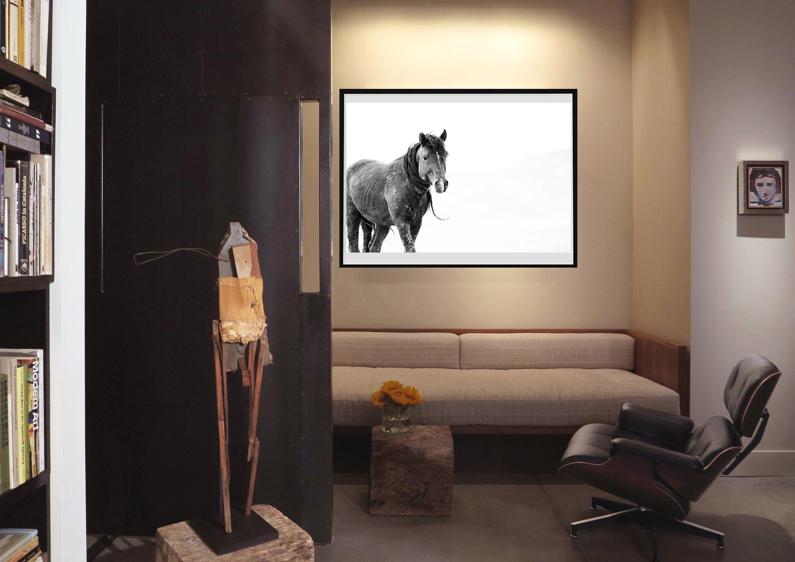 SOLO 36x48  Black & White Photography, Wild Horses Mustang Photograph ART - Print by Shane Russeck
