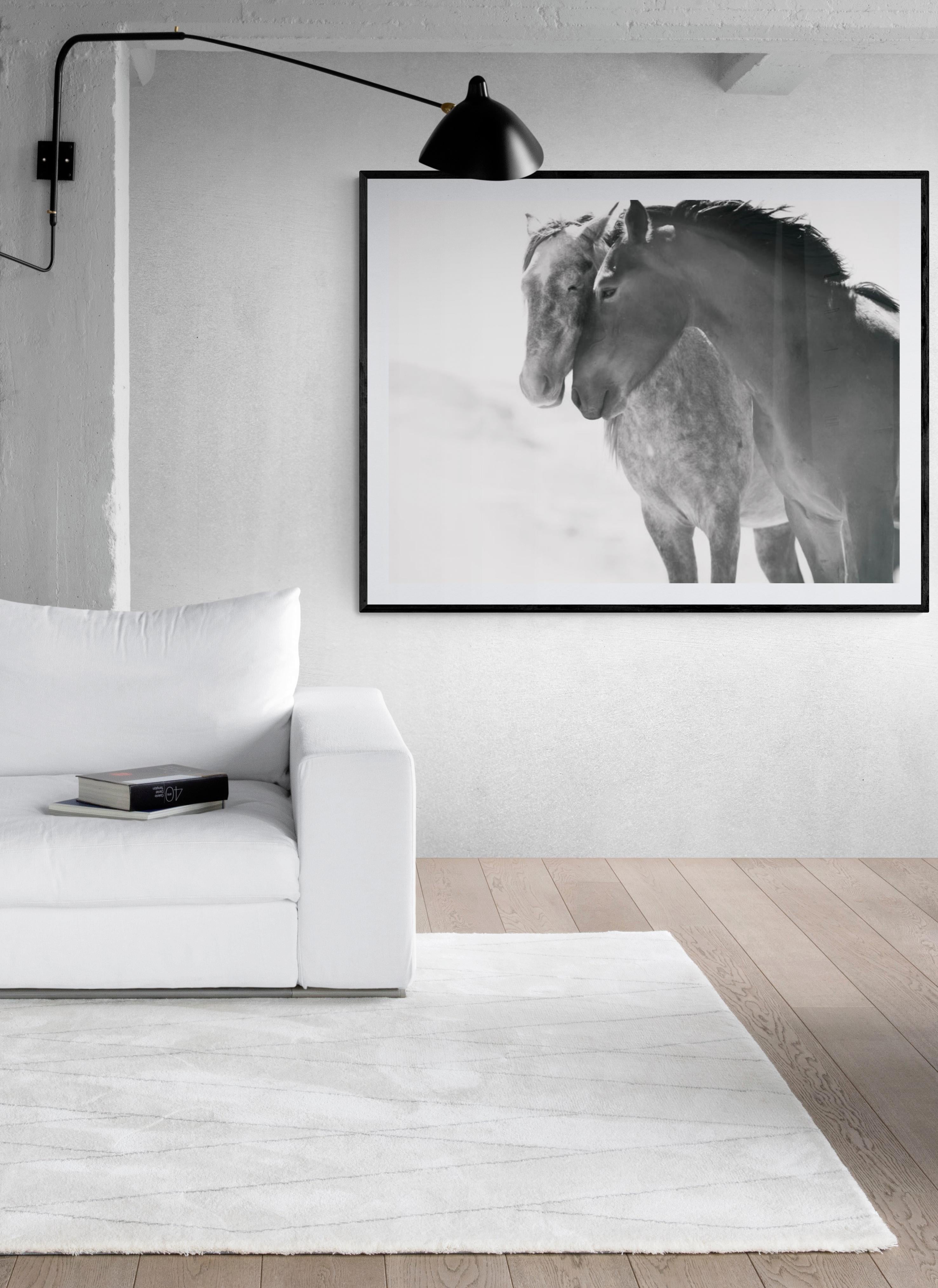 Dies ist eine zeitgenössische Schwarz-Weiß-Fotografie von wilden Mustangs in Nordkalifornien. 
