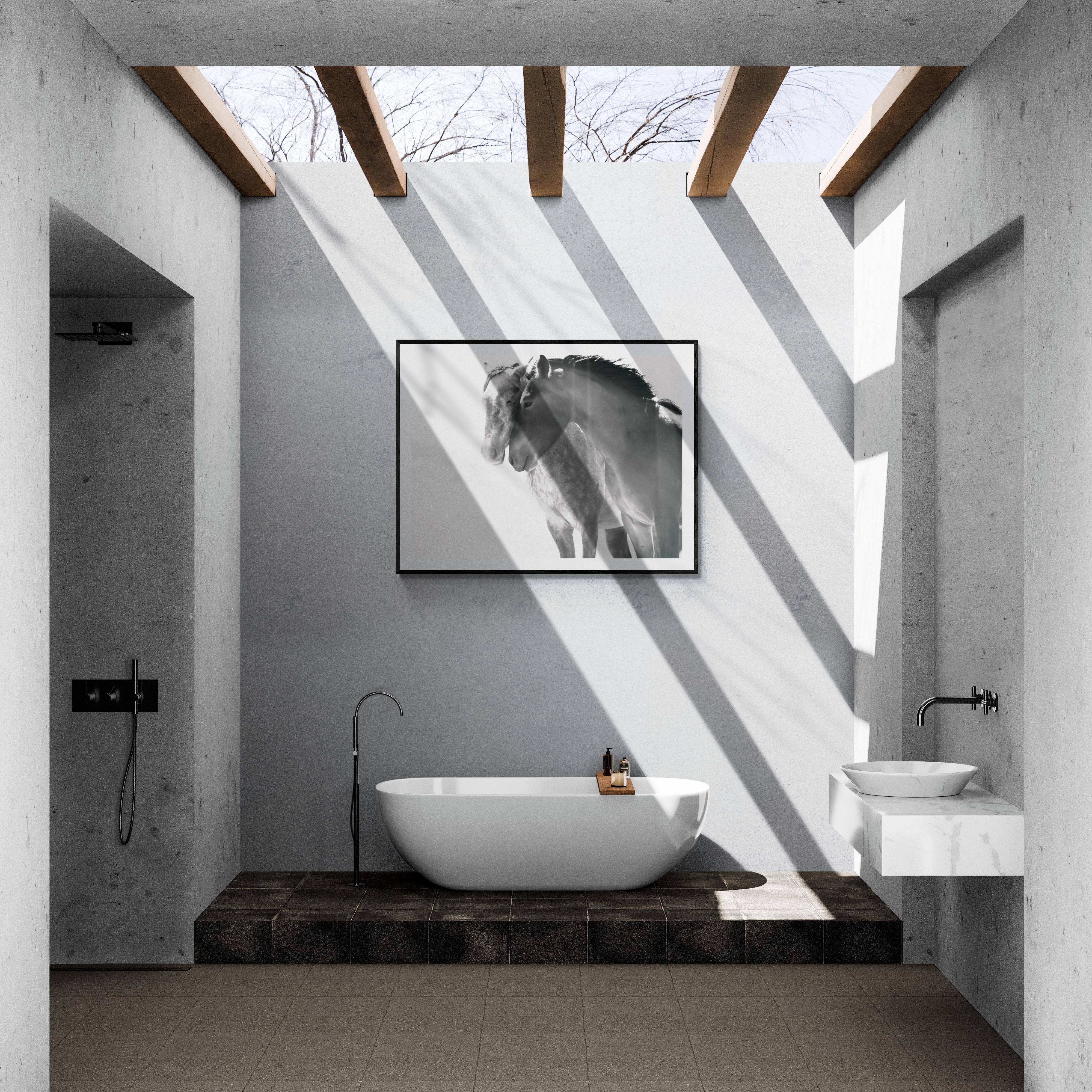 Dies ist eine zeitgenössische Schwarz-Weiß-Fotografie von wilden Mustangs in Nordkalifornien. 
