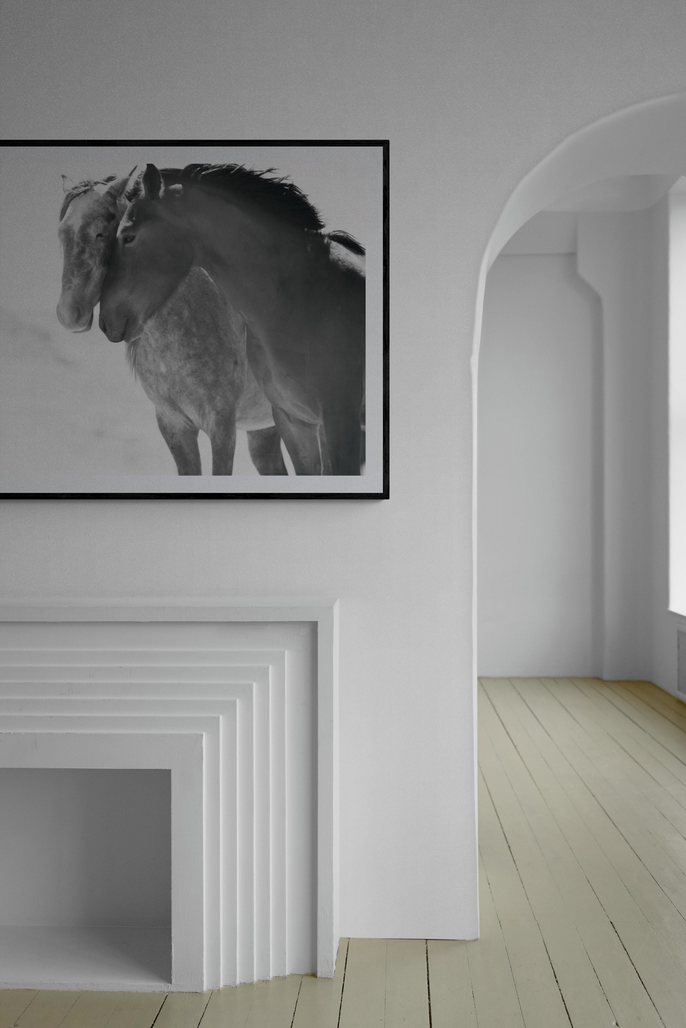 Soulmates - Photographie en noir et blanc de chevaux sauvages moutardes, 40x60 en vente 4