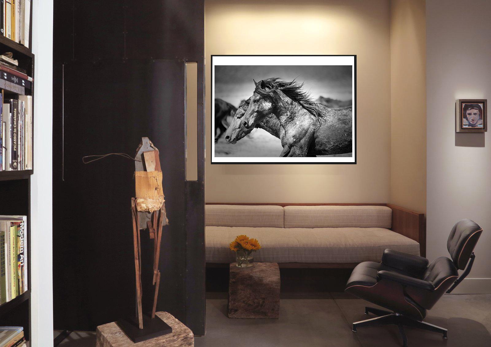 Statuesque 24x36 Photography of Wild Horses Mustangs Photograph Fine Art Print - Gray Black and White Photograph by Shane Russeck