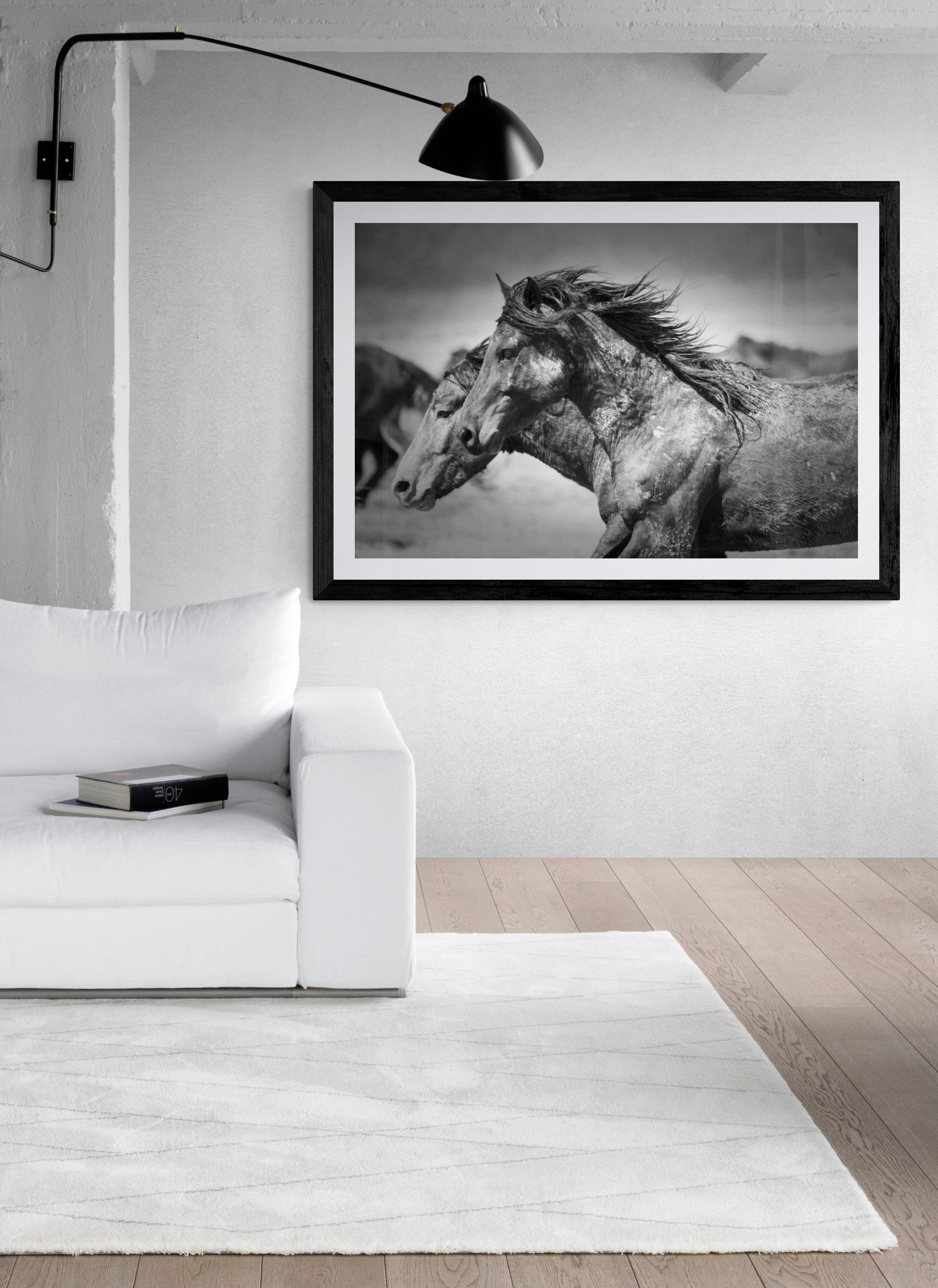 Statuesque 40x60 Photographie en noir et blanc des chevaux sauvages Mustangs en vente 1