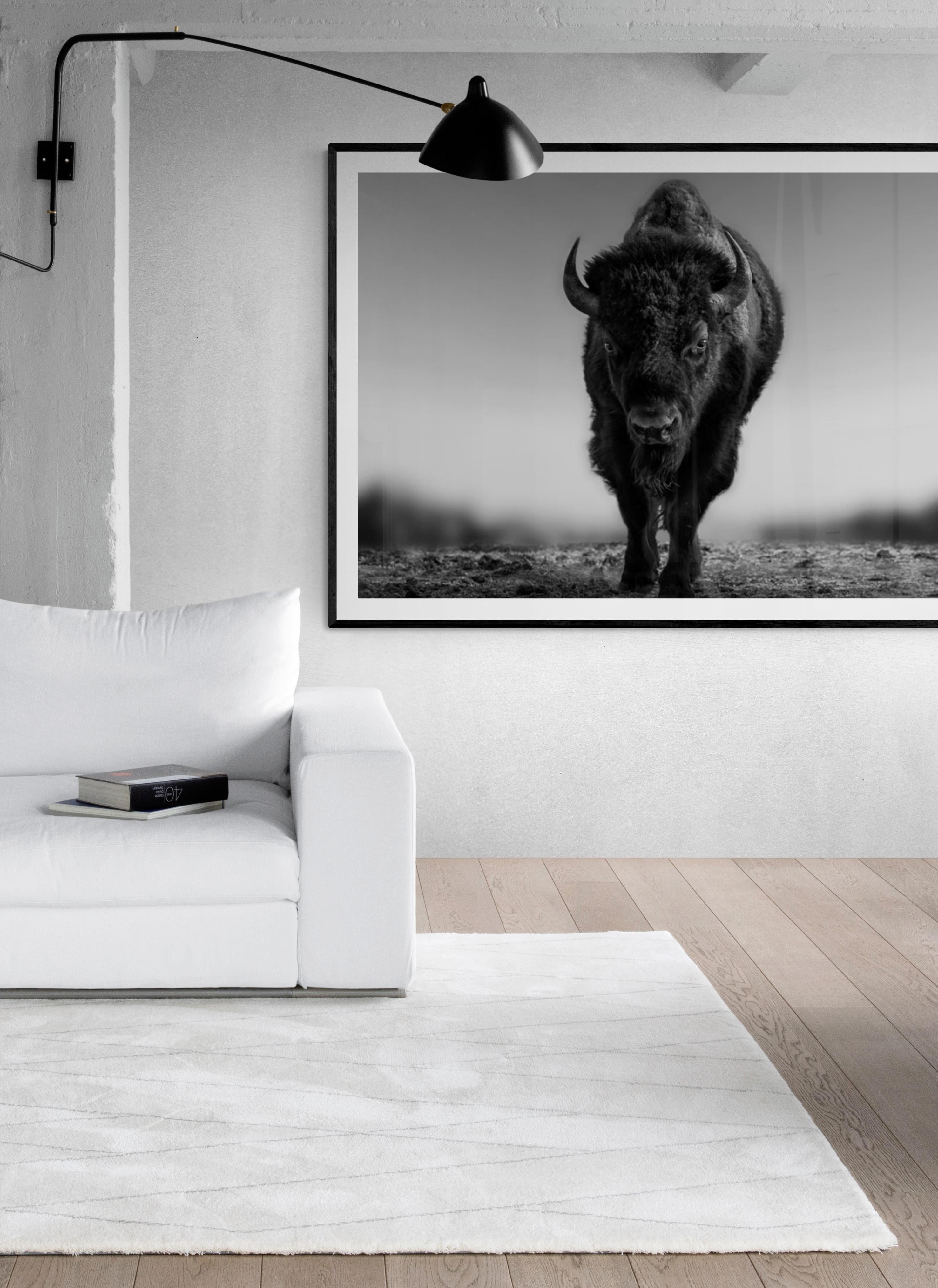 „The Beast“ 36x48 Schwarz-Weiß-Fotografie von Bison Buffalo, unsignierte Fotografie (Grau), Black and White Photograph, von Shane Russeck